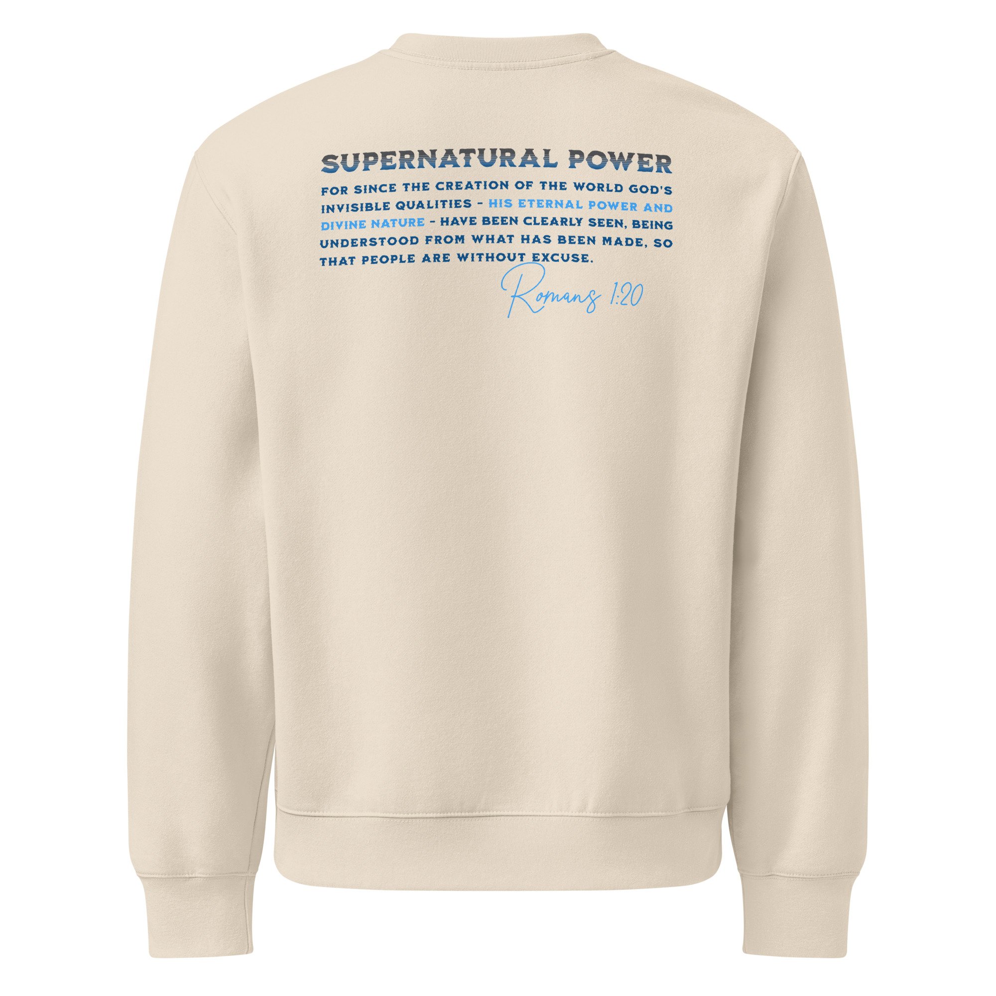 unisex-oversized-heavyweight-sweatshirt-dust-back-6a403fe90205a.jpg