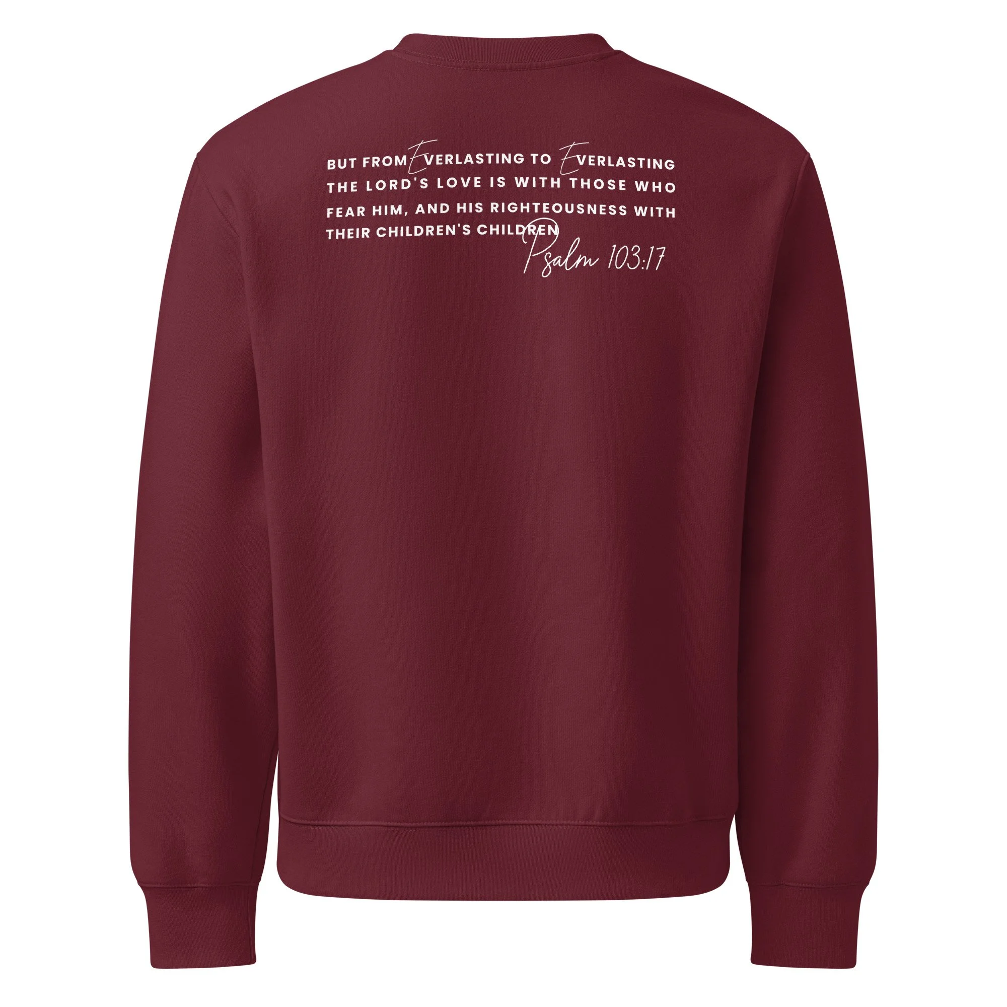 unisex-oversized-heavyweight-sweatshirt-maroon-back-69eed749cf32b.jpg
