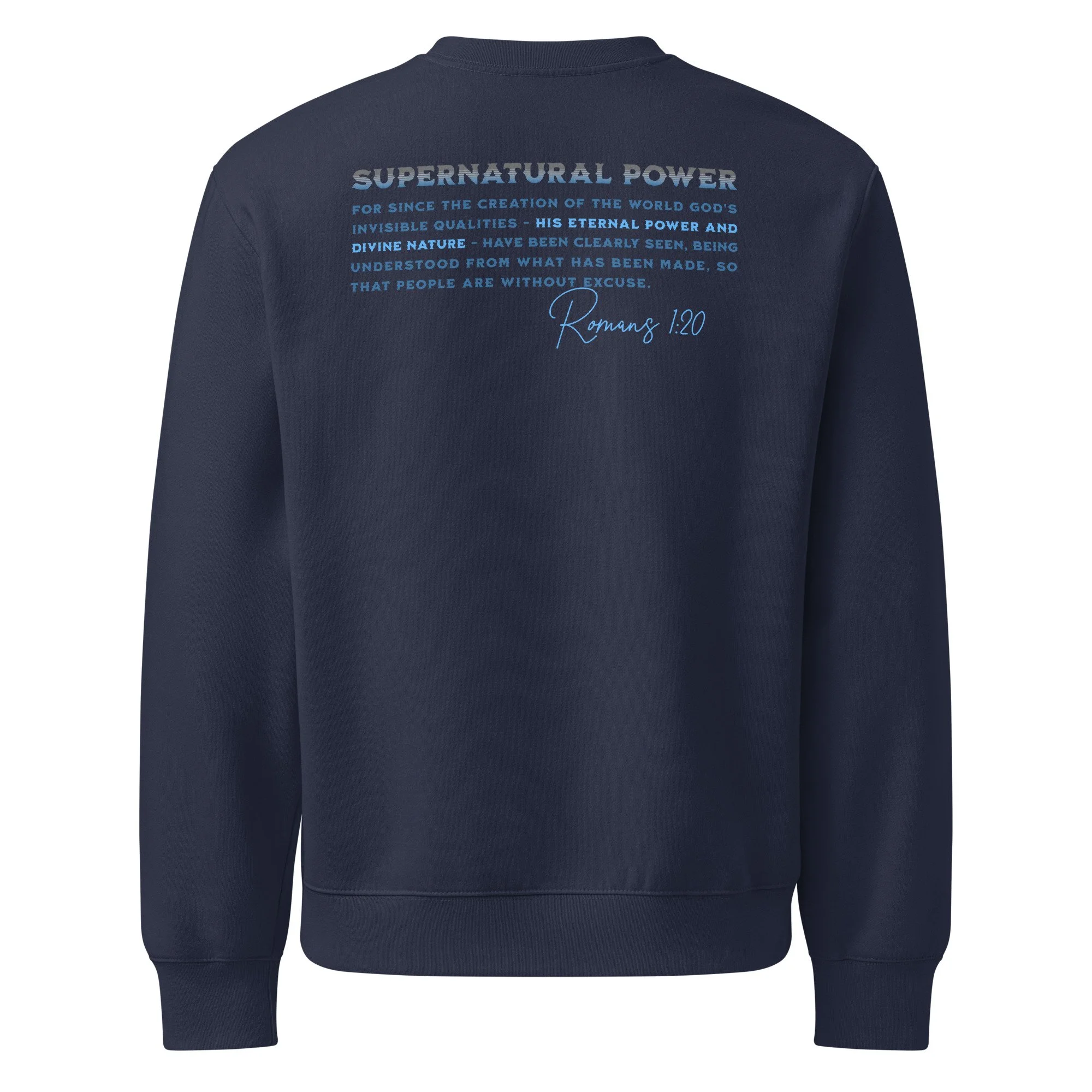 unisex-oversized-heavyweight-sweatshirt-navy-back-6a403fe9020b1.jpg