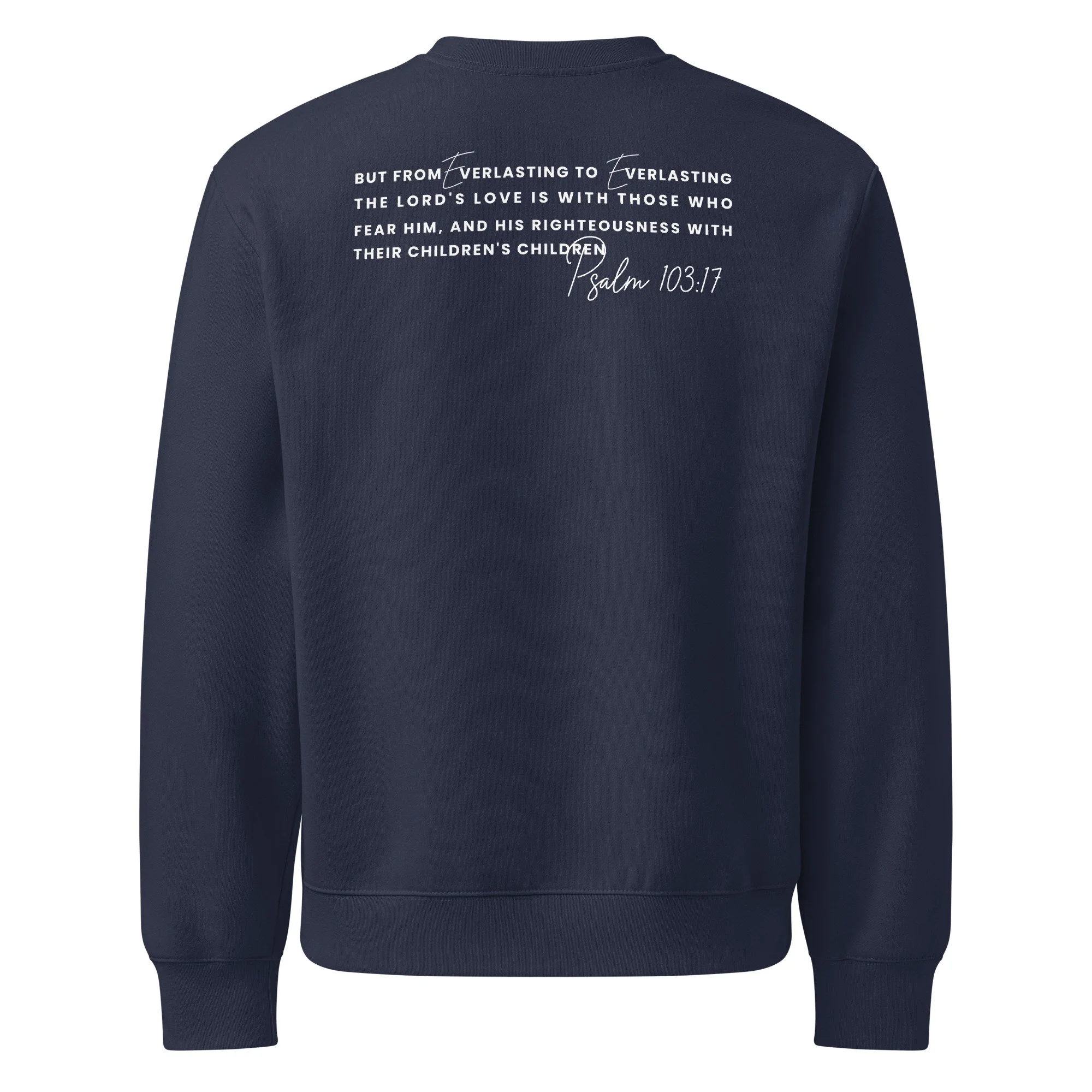 unisex-oversized-heavyweight-sweatshirt-navy-back-69eed749cf3b2.jpg