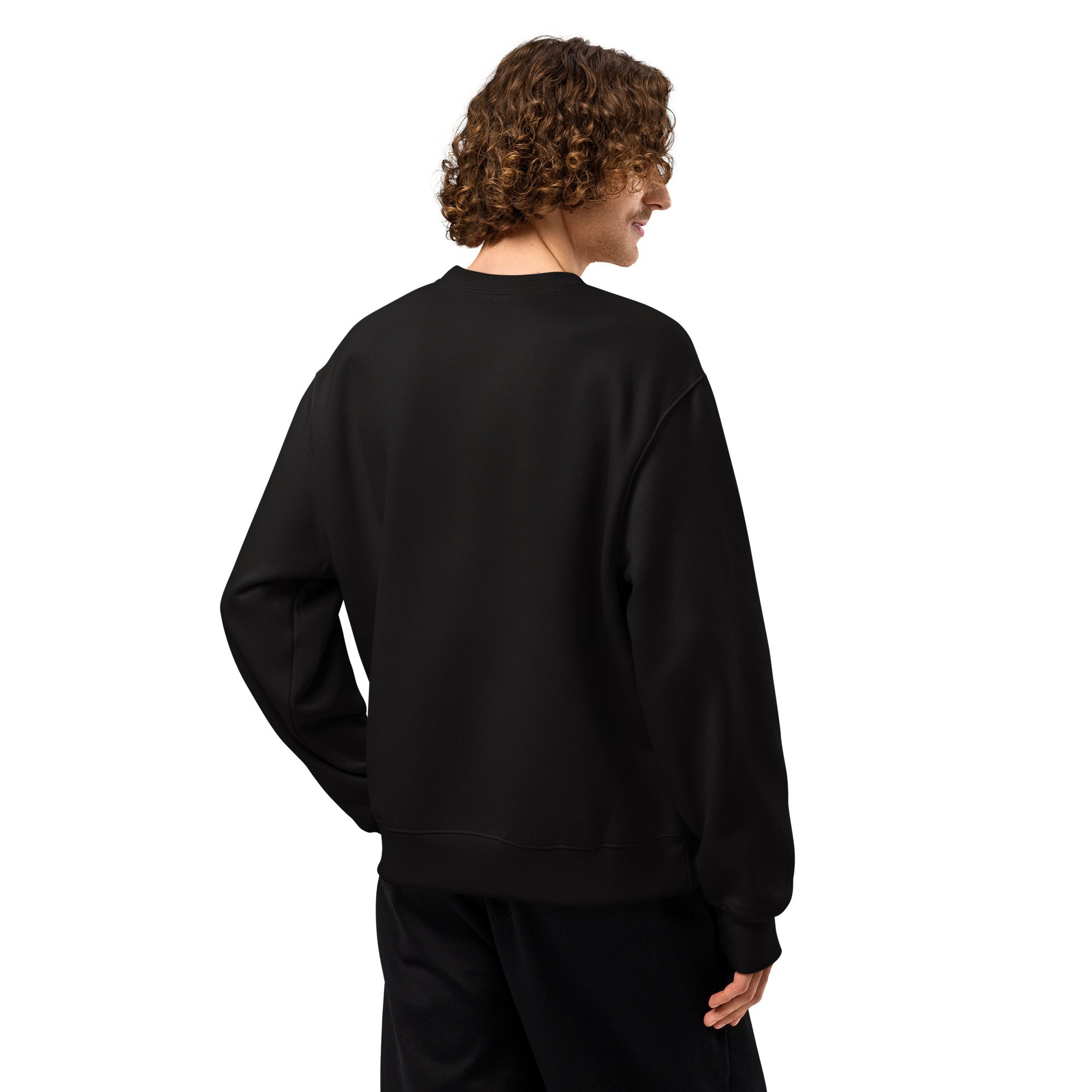 unisex-oversized-heavyweight-sweatshirt-black-back-69e9131aba01b.jpg