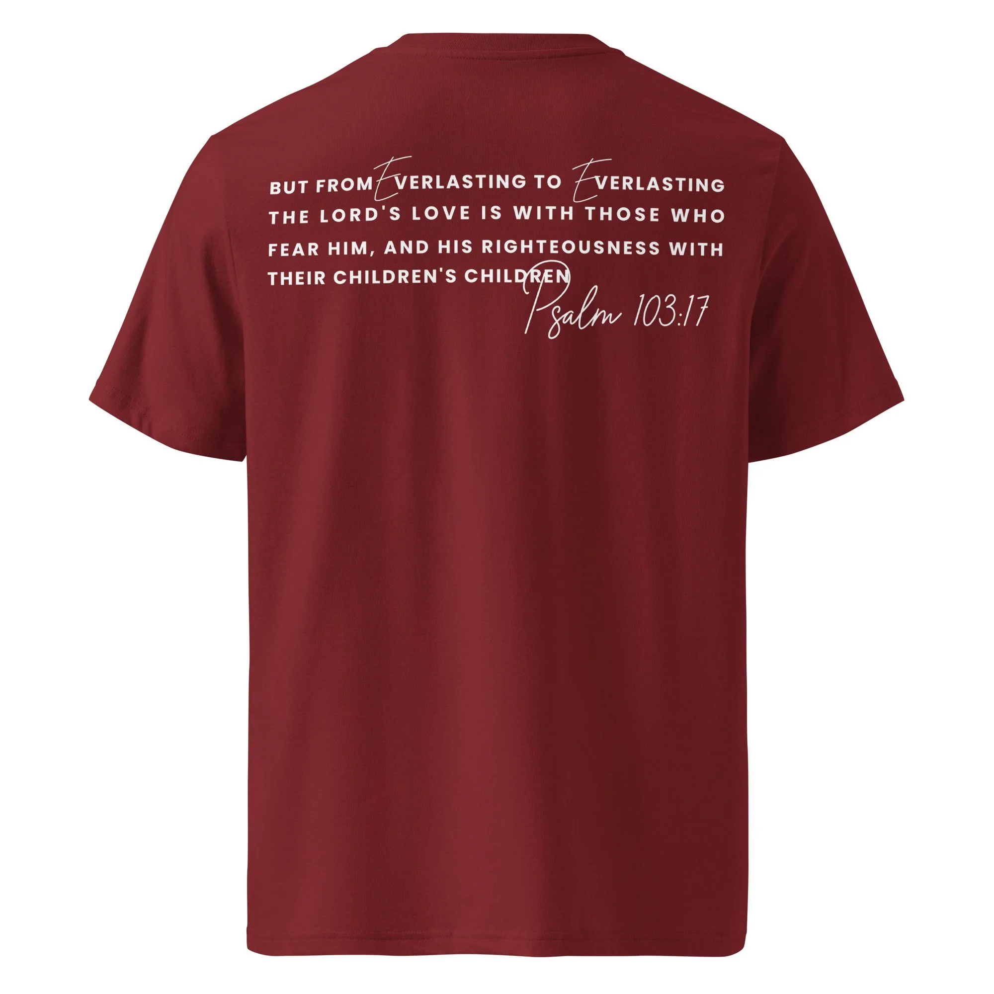 unisex-organic-ribbed-neck-creator-2.0-t-shirt-burgundy-back-69eed24b27cf8.jpg