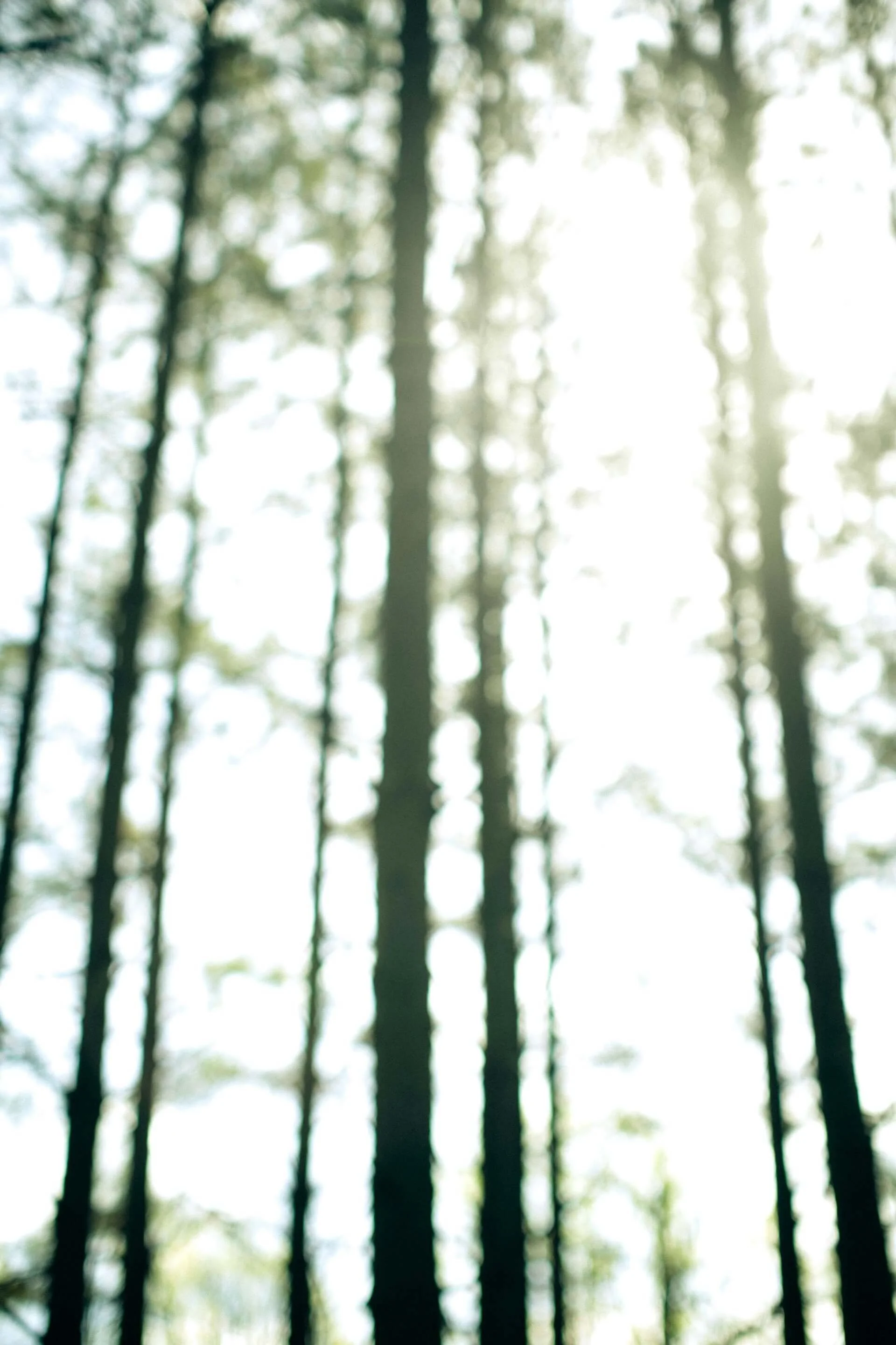 A Better Way to Live