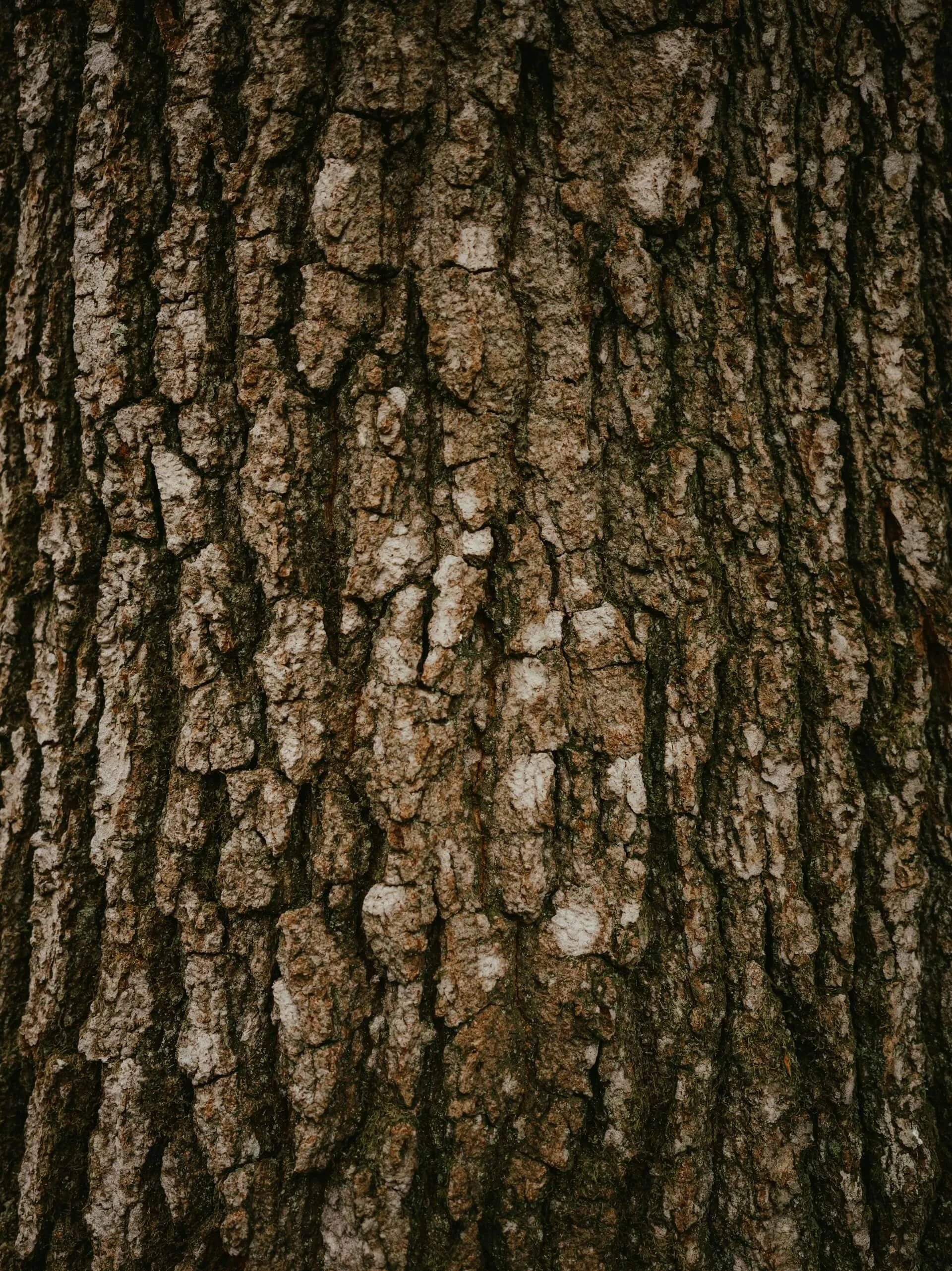 Time to Let it Soak In