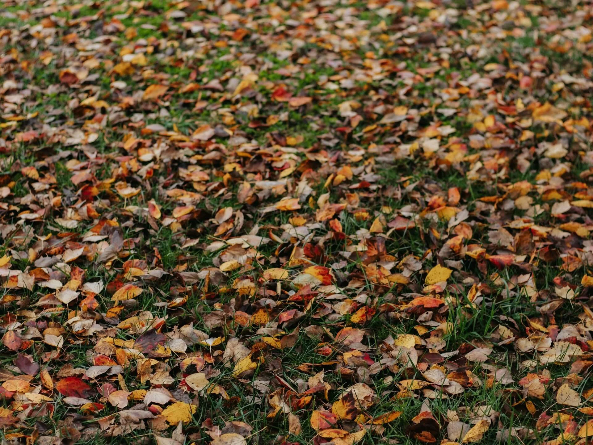 Great Teachers Love Eager Students