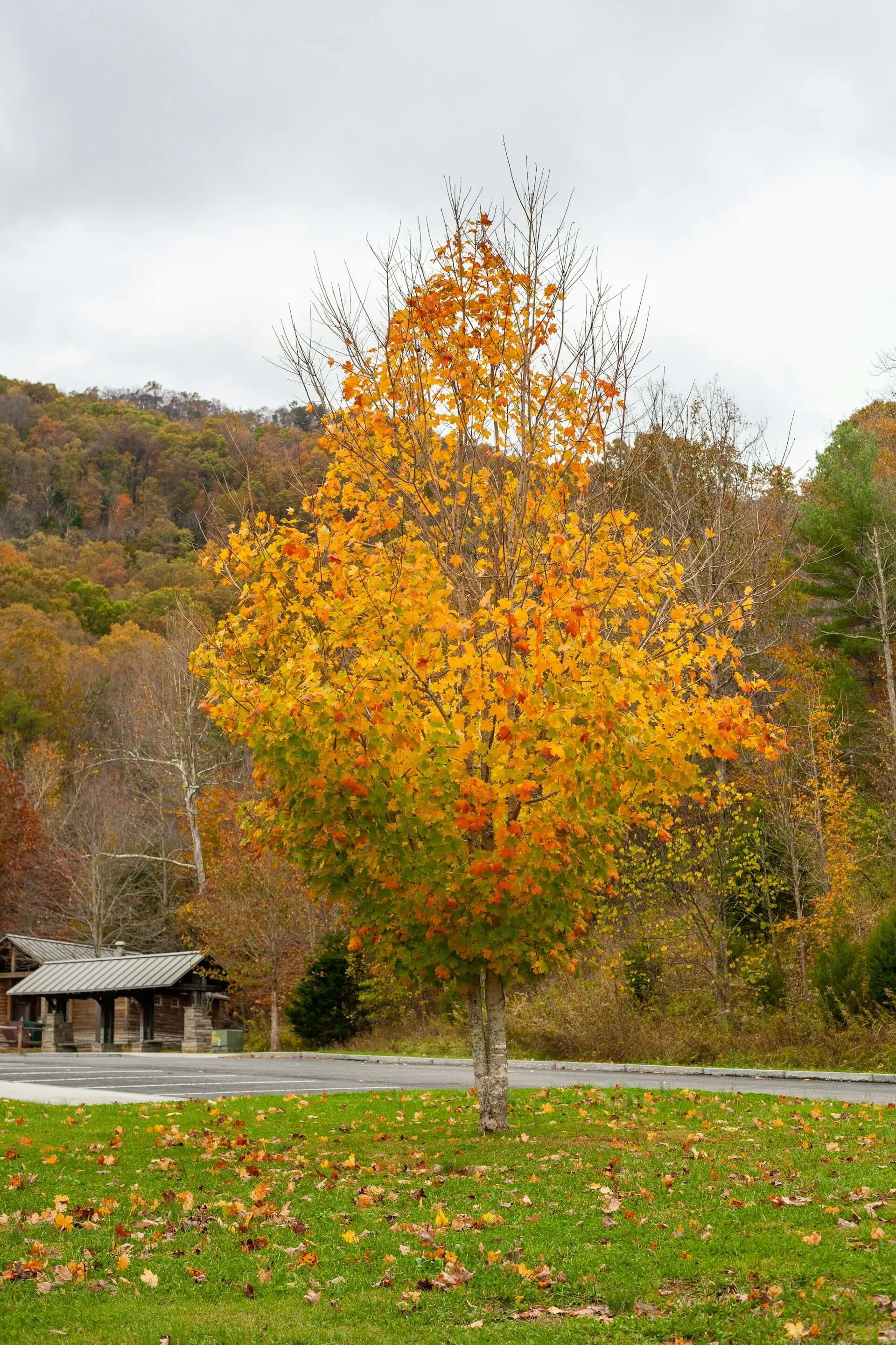 How to Disagree with Your Pastor