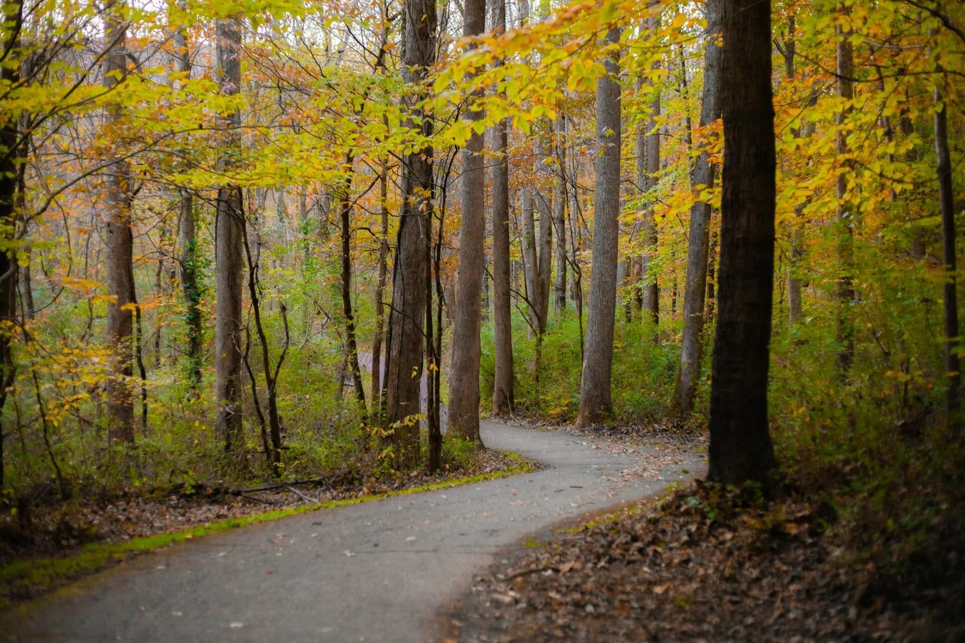 New Year – What Will be Different in 2025?