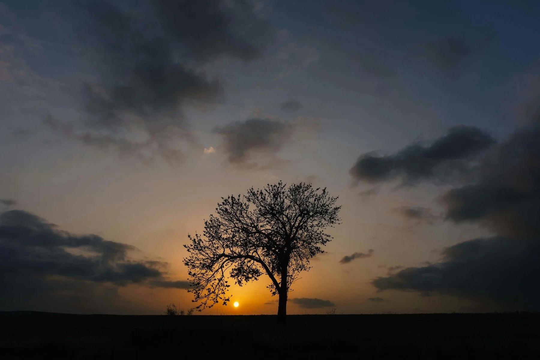 Our Jesus is a patient and persistent teacher