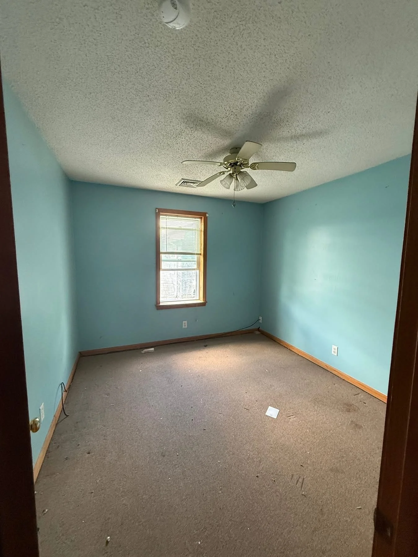 Full apartment renovation