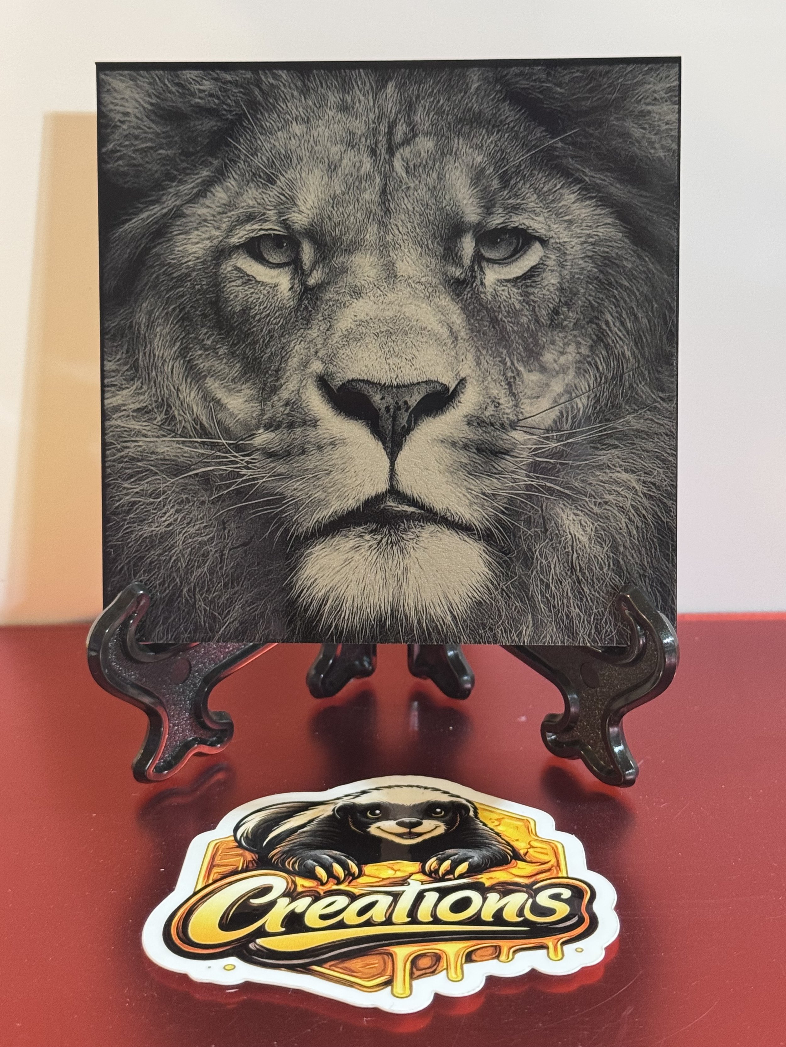 A Lions Stare