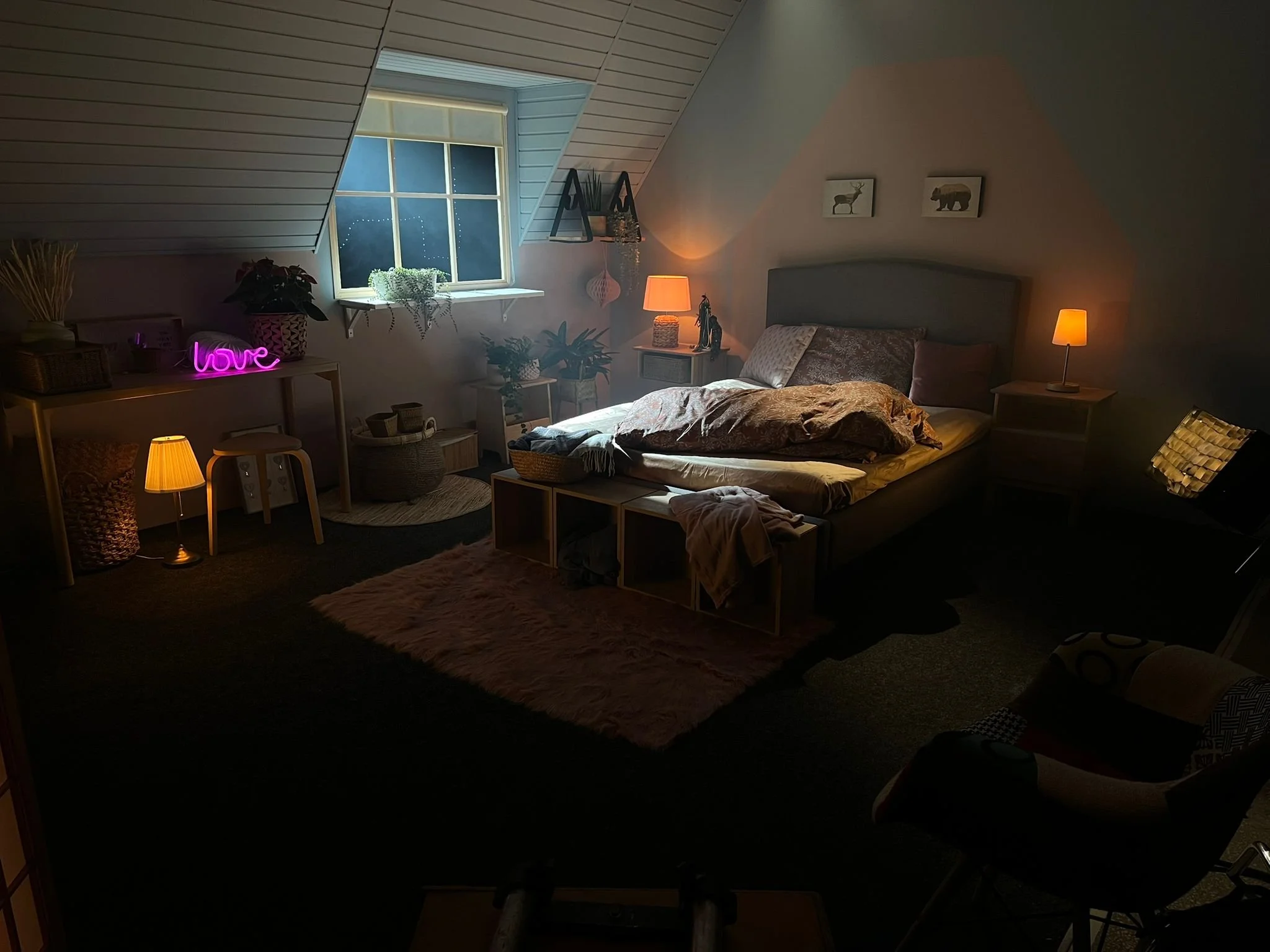 WhatsApp Image 2026-01-30 at 19.36.41.jpeg