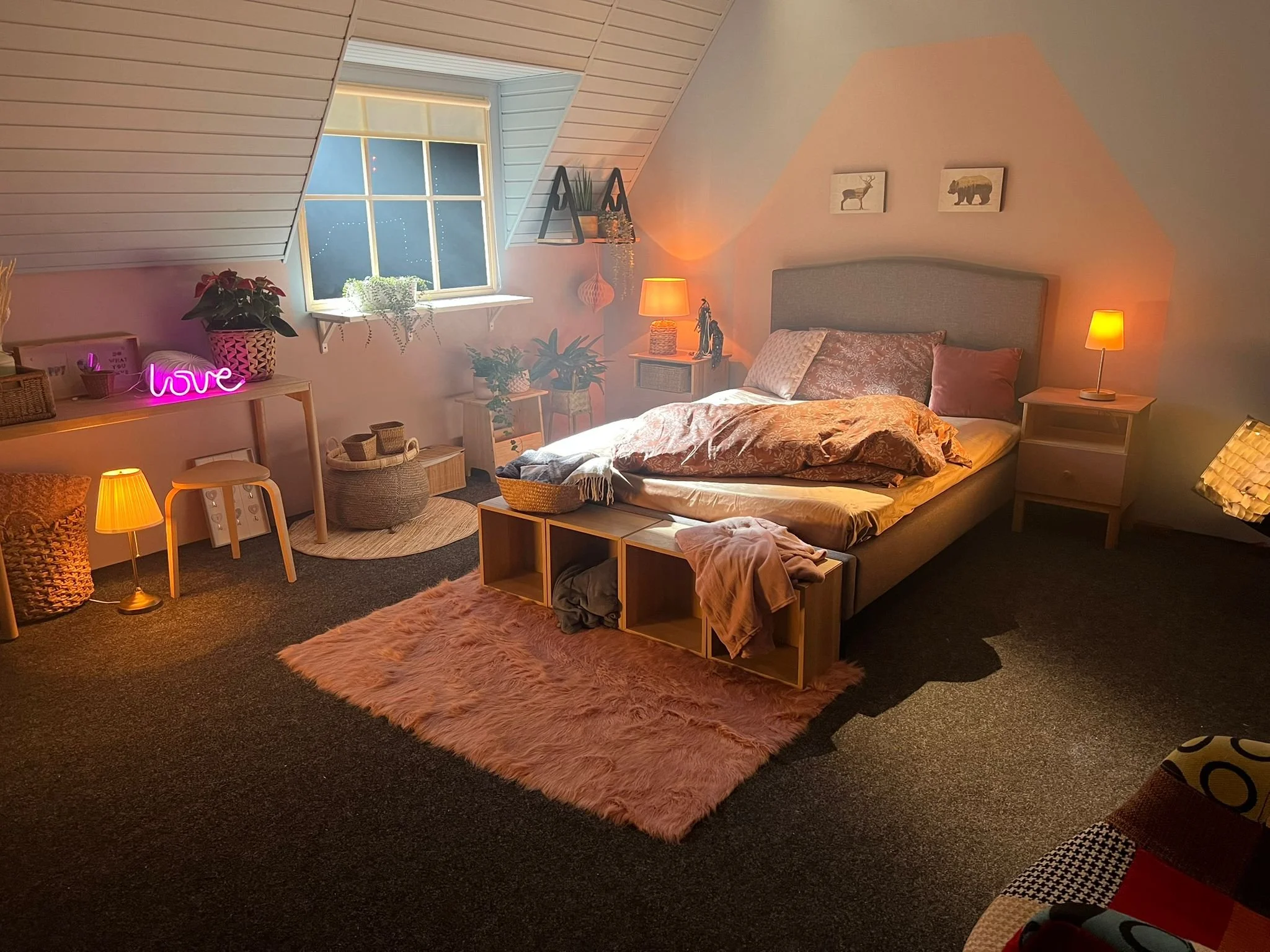 WhatsApp Image 2026-01-30 at 19.36.41 (1).jpeg