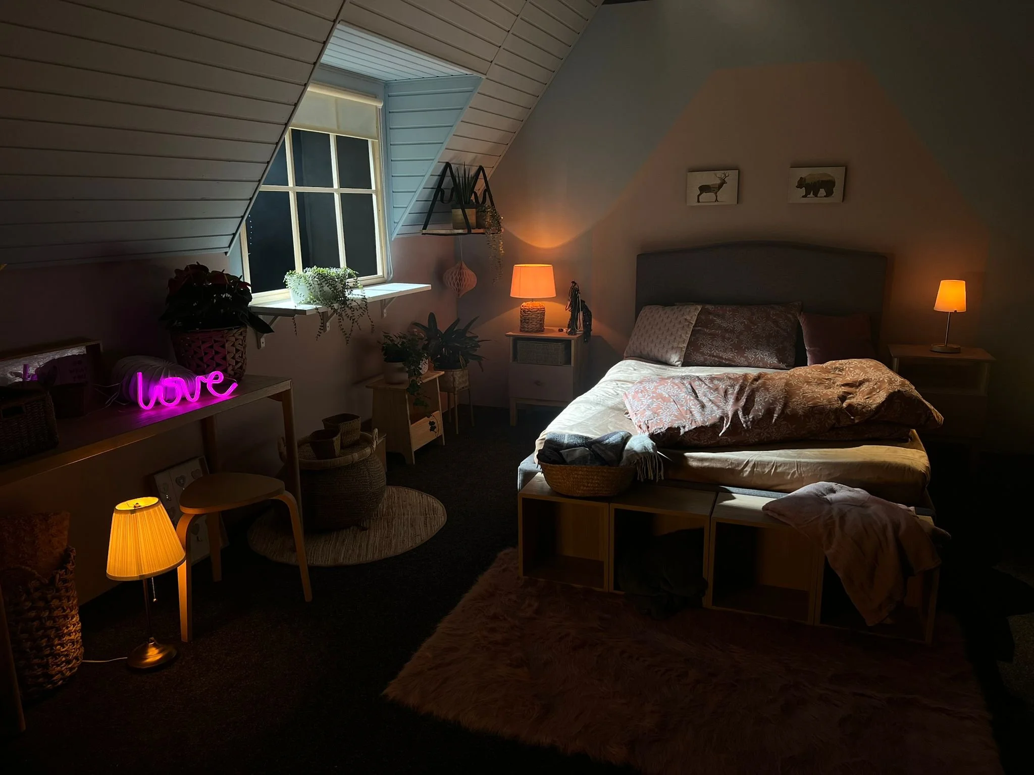 WhatsApp Image 2026-01-30 at 19.36.40 (6).jpeg