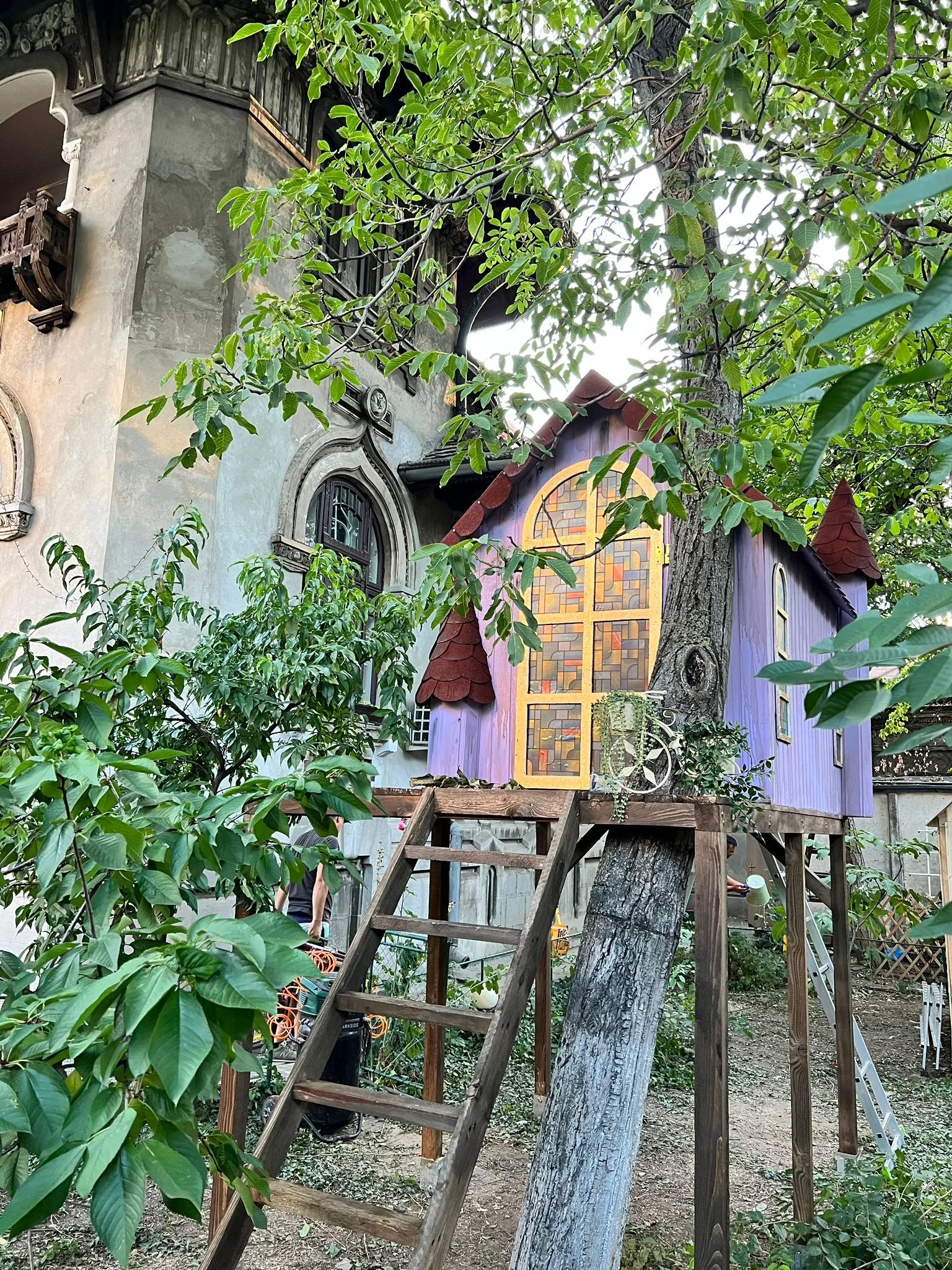 WhatsApp Image 2026-01-30 at 19.36.34 (3).jpeg