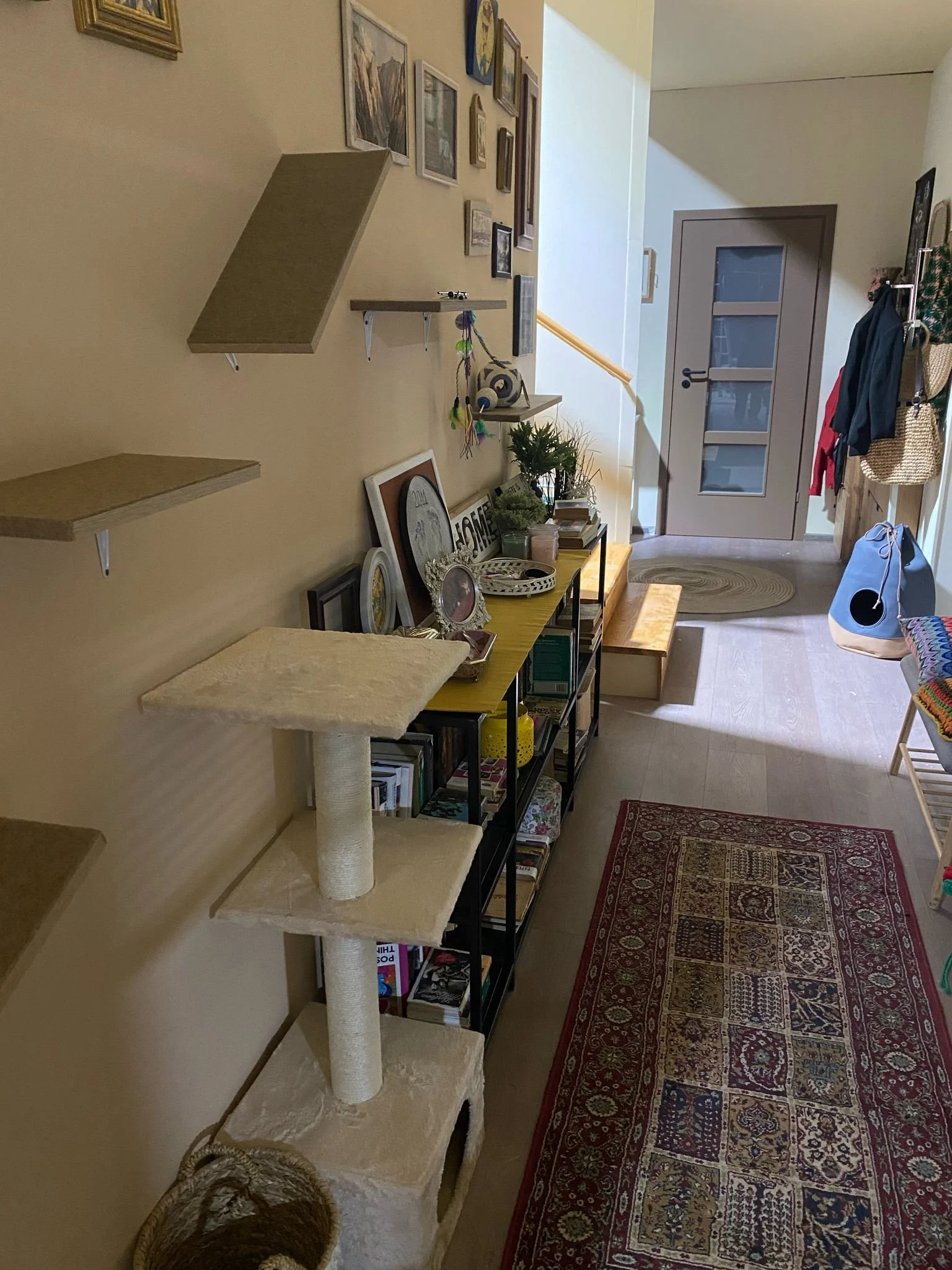 WhatsApp Image 2026-01-30 at 19.24.54 (1).jpeg