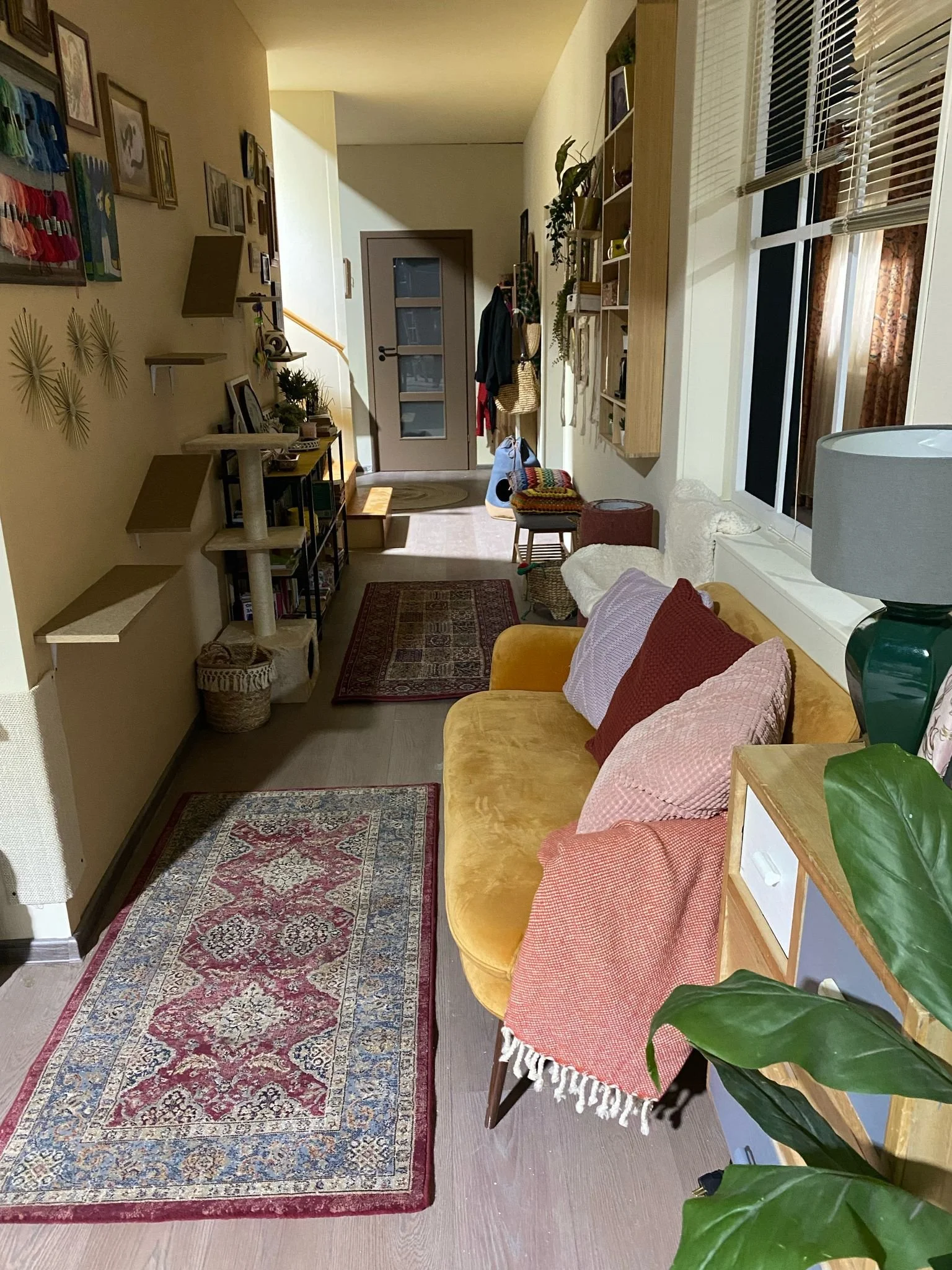 WhatsApp Image 2026-01-30 at 19.24.51 (1).jpeg