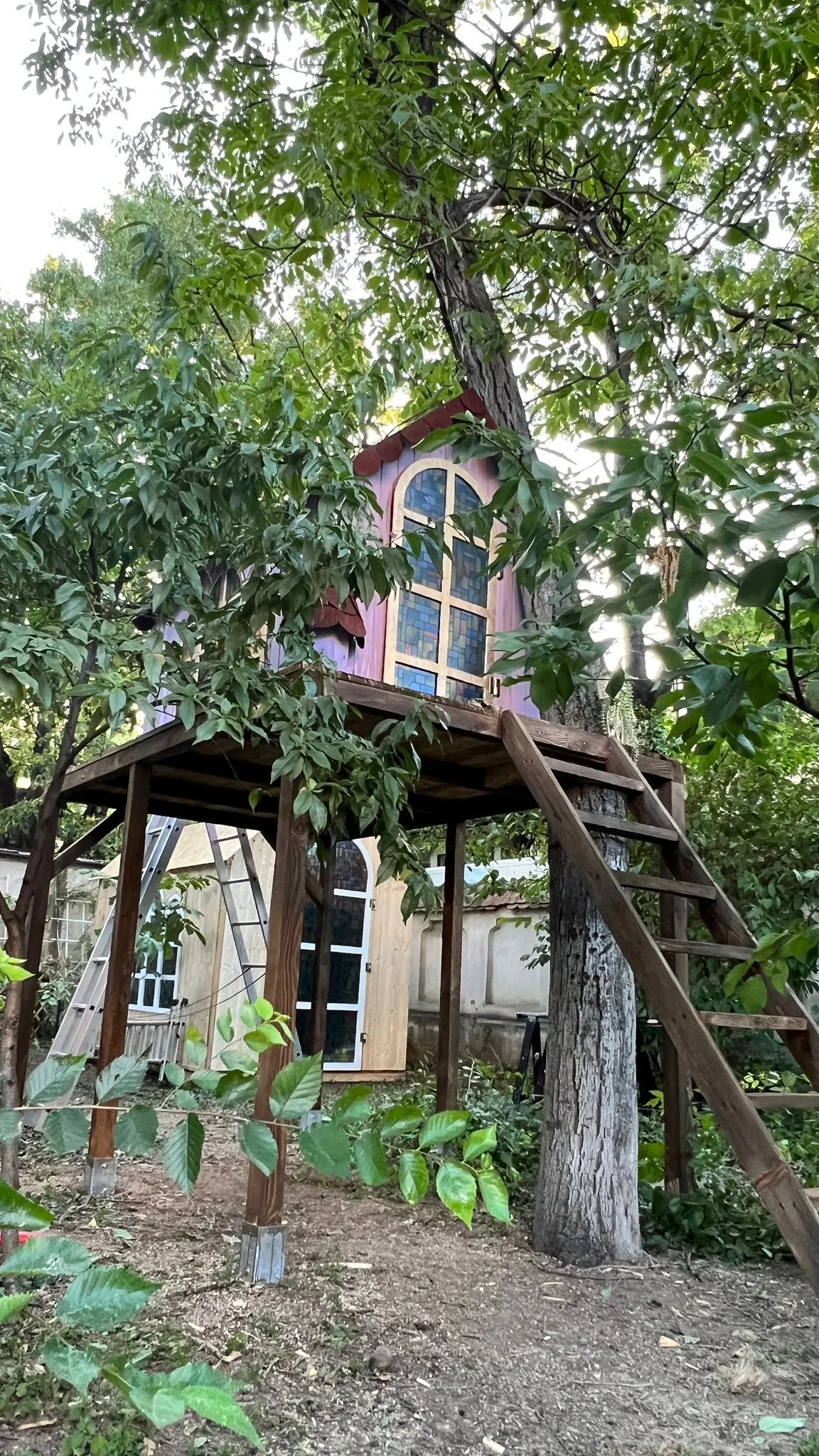 WhatsApp Image 2026-01-30 at 19.36.34.jpeg