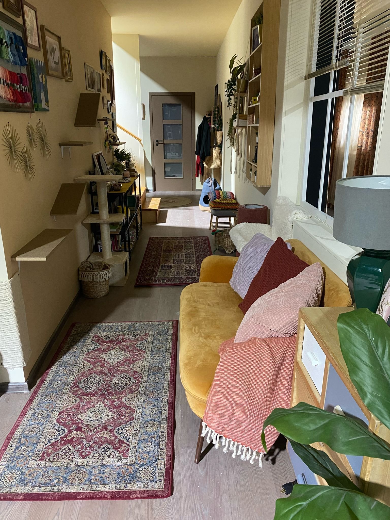 WhatsApp Image 2026-01-30 at 19.24.51.jpeg