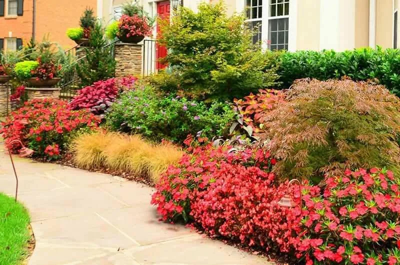 Colorful flower garden with various plants and shrubs next to a sidewalk, with a building in the background.