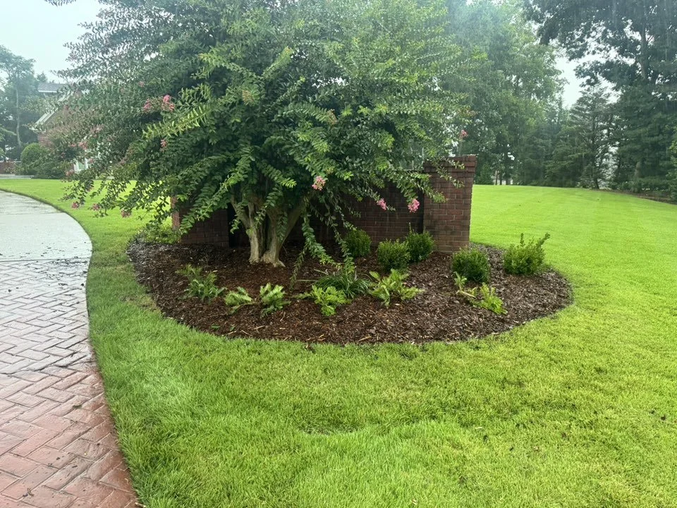 A landscaped garden bed with green plants and a small tree, bordered by mulch, next to a brick wall and a curved brick pathway on a lush green lawn.