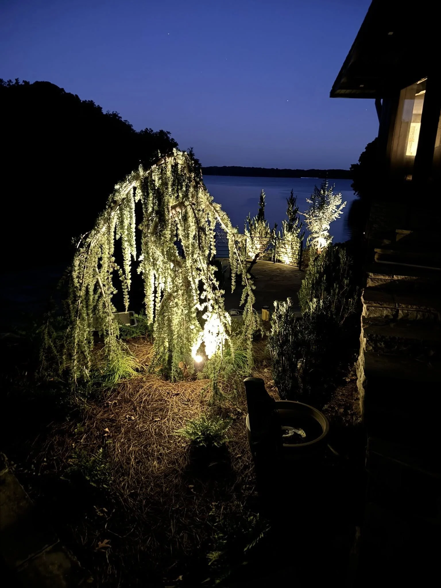 Nighttime view of a nighttime outdoor scene with a lit tree, overlooking a body of water with a clear sky and visible stars.