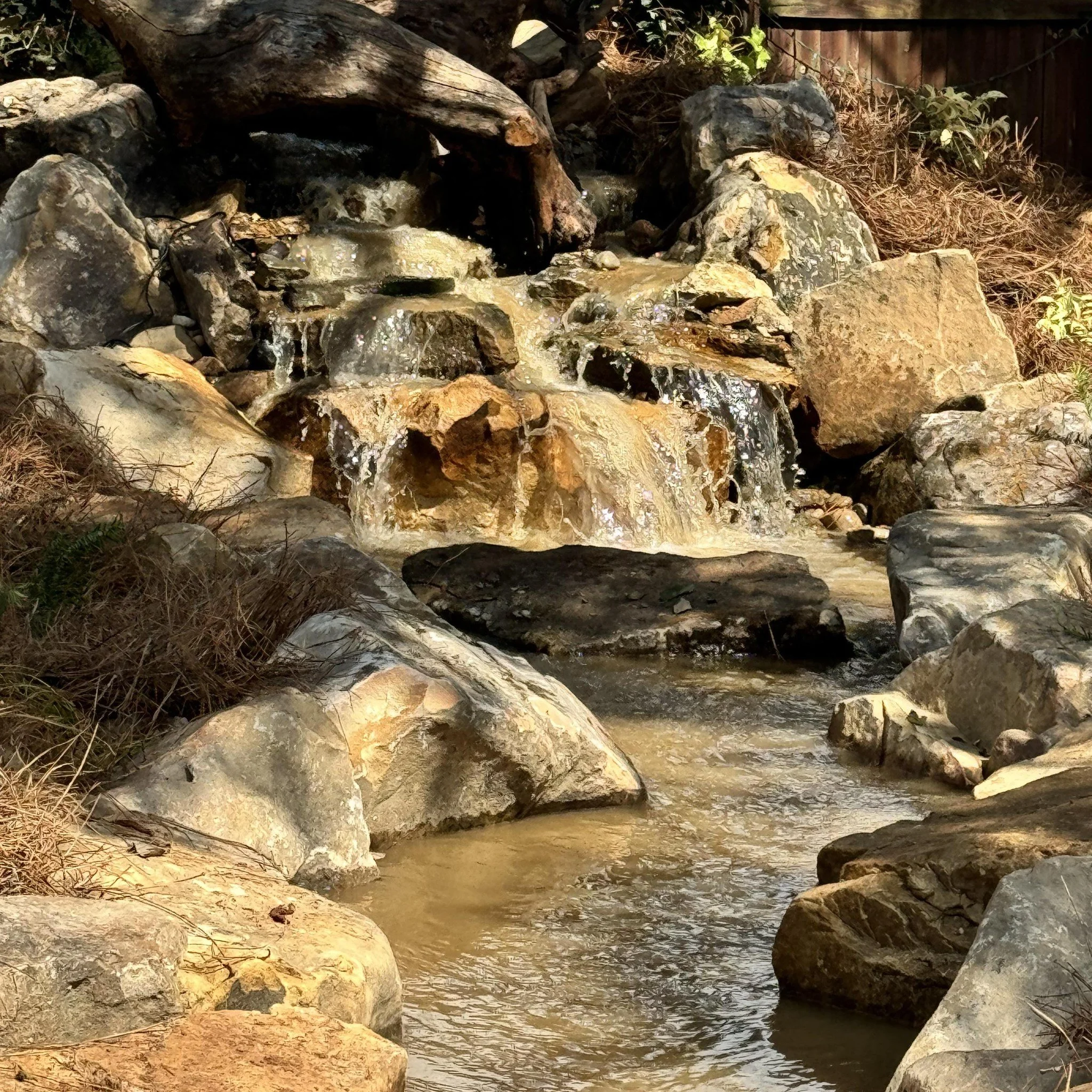 A small waterfall flowing over rocks into a pond, surrounded by dry grass, bushes, and a wooden fence in the background.