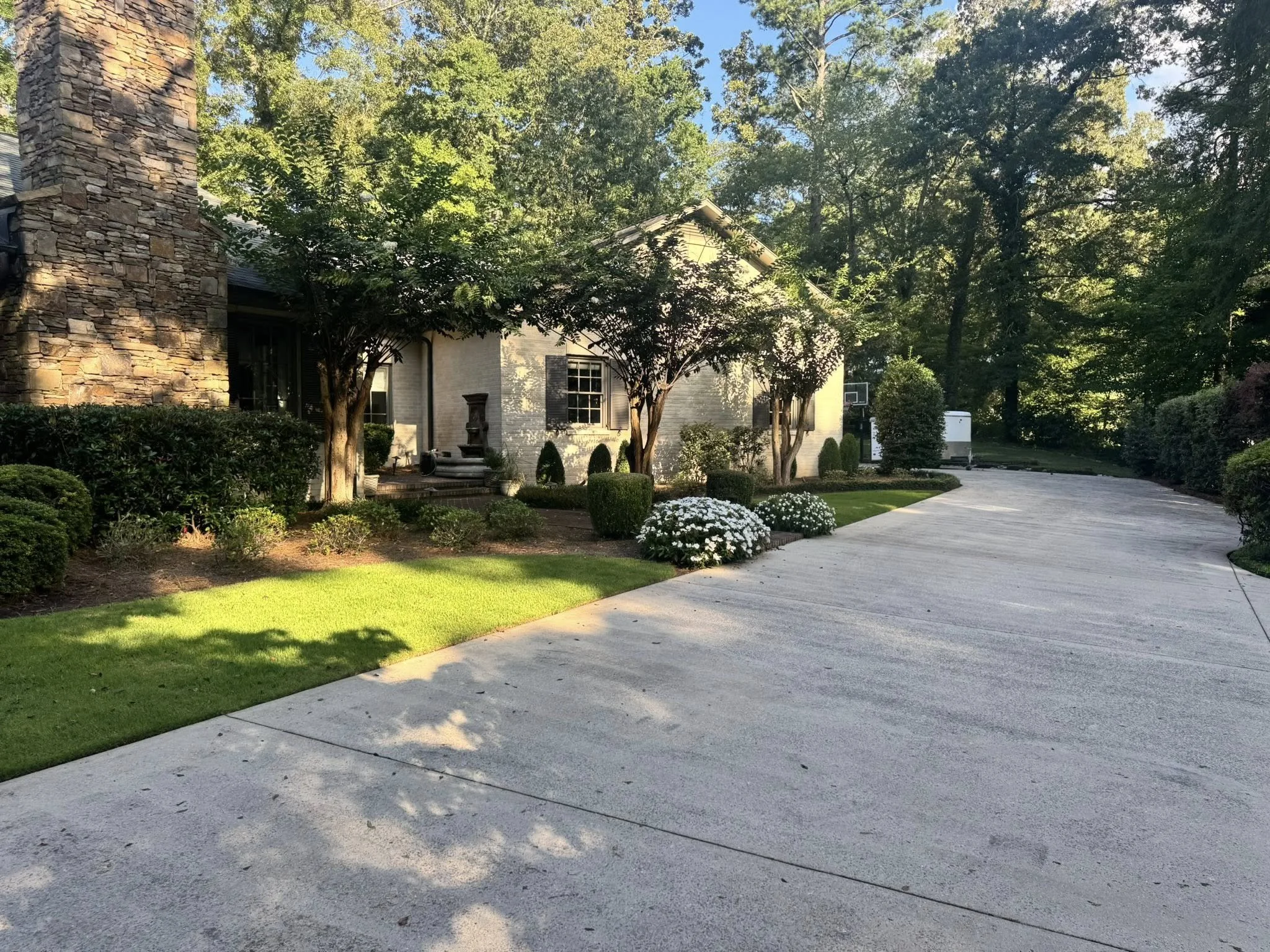 A driveway leading to a house surrounded by landscaped garden with trees, bushes, and white flowers.
