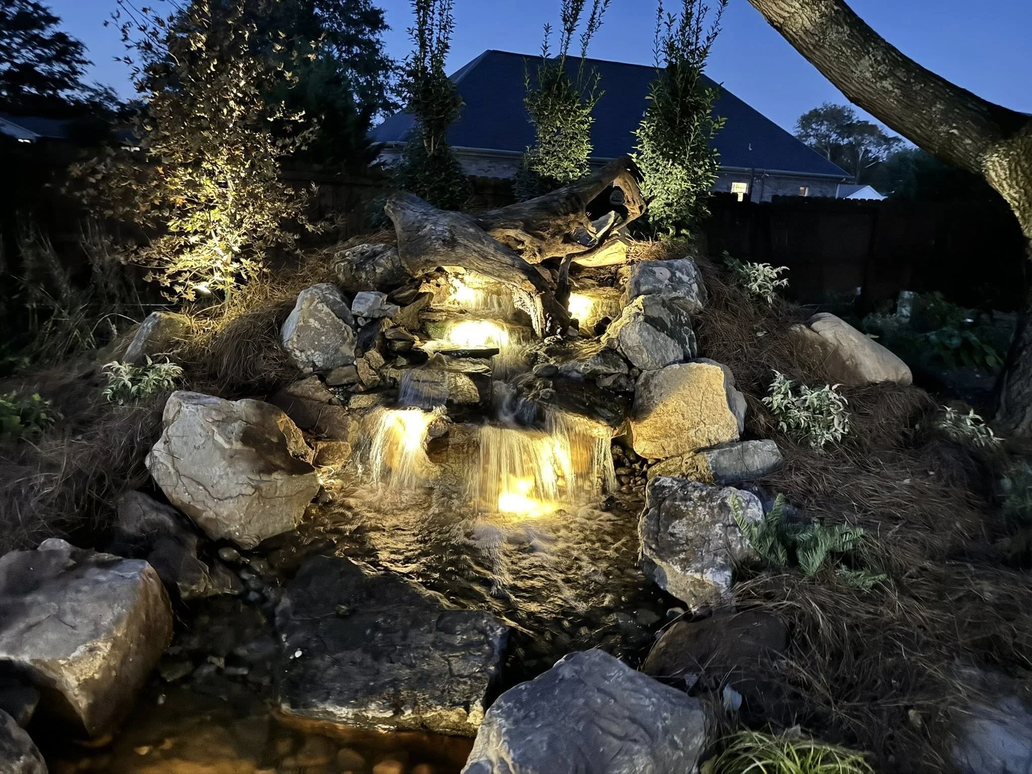 A backyard landscape features a small waterfall with water illuminated by yellow lights, surrounded by large rocks, shrubs, and trees, with a house and dark evening sky in the background.