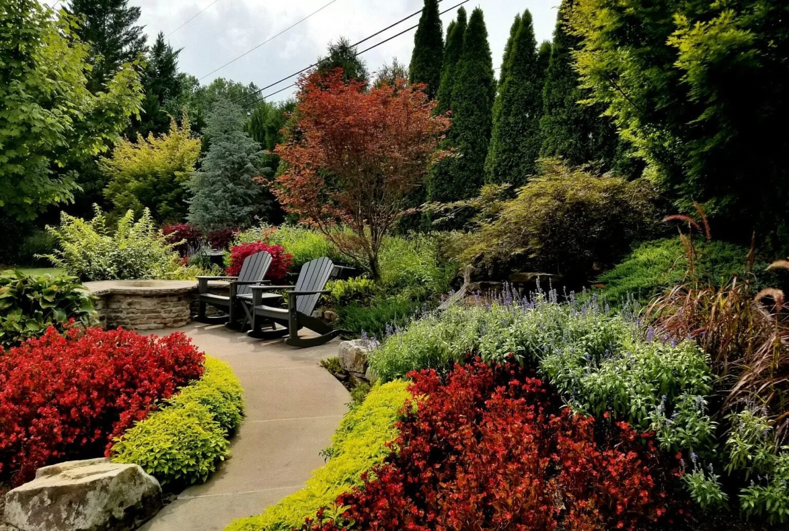 A garden with a curved pathway, two black Adirondack chairs, and various colorful bushes and trees, including a small red maple and tall evergreen trees in the background.