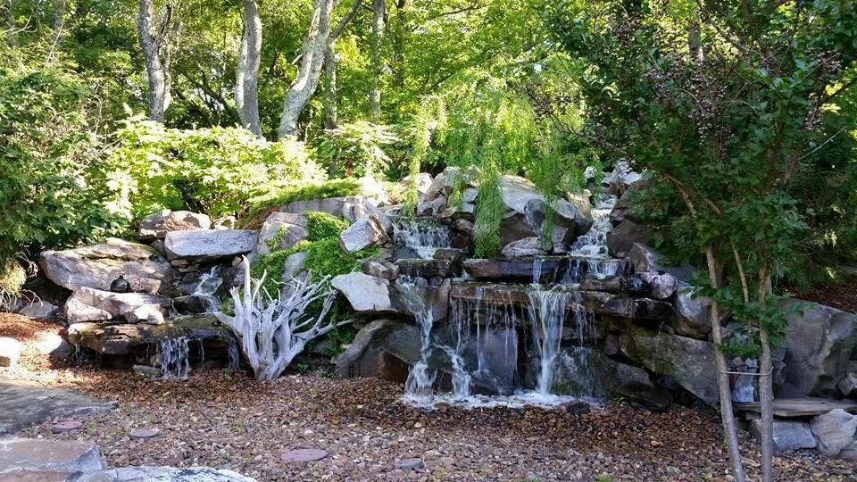 A small waterfall cascading over rocks surrounded by green trees and bushes in a natural setting.