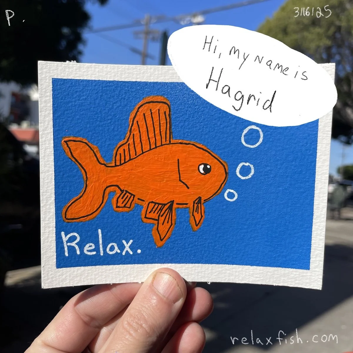 A colorful drawing of an orange fish with fins and a big eye, against a blue background. The fish is depicted with simple lines and shading. A speech bubble says, "Hi, my name is Hagrid." The word "Relax." is written below the fish, and the website r