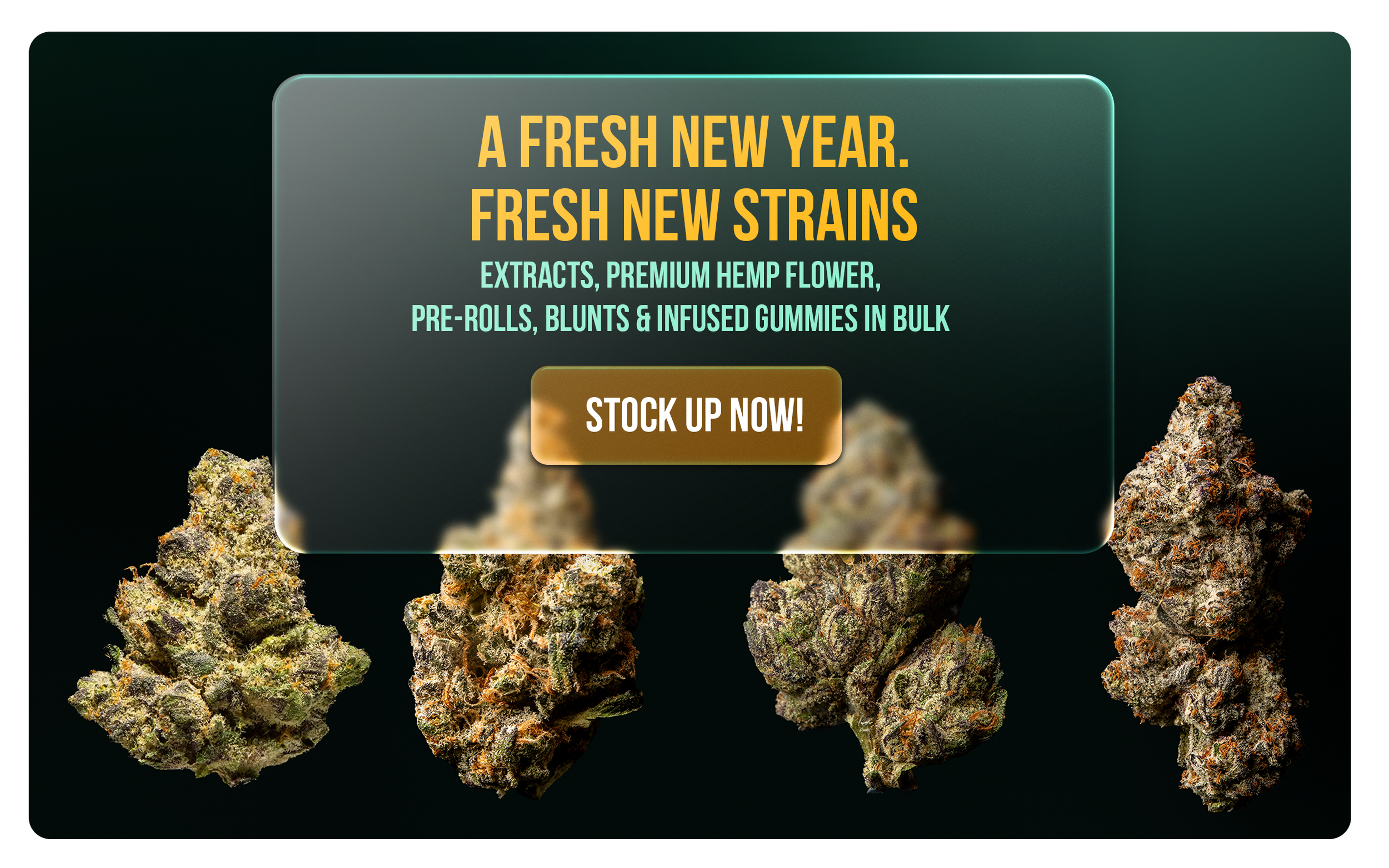 Advertisement for new strains of cannabis including extracts, premium hemp flower, pre-rolls, blunts, and infused gummies, with a background showing several cannabis buds.