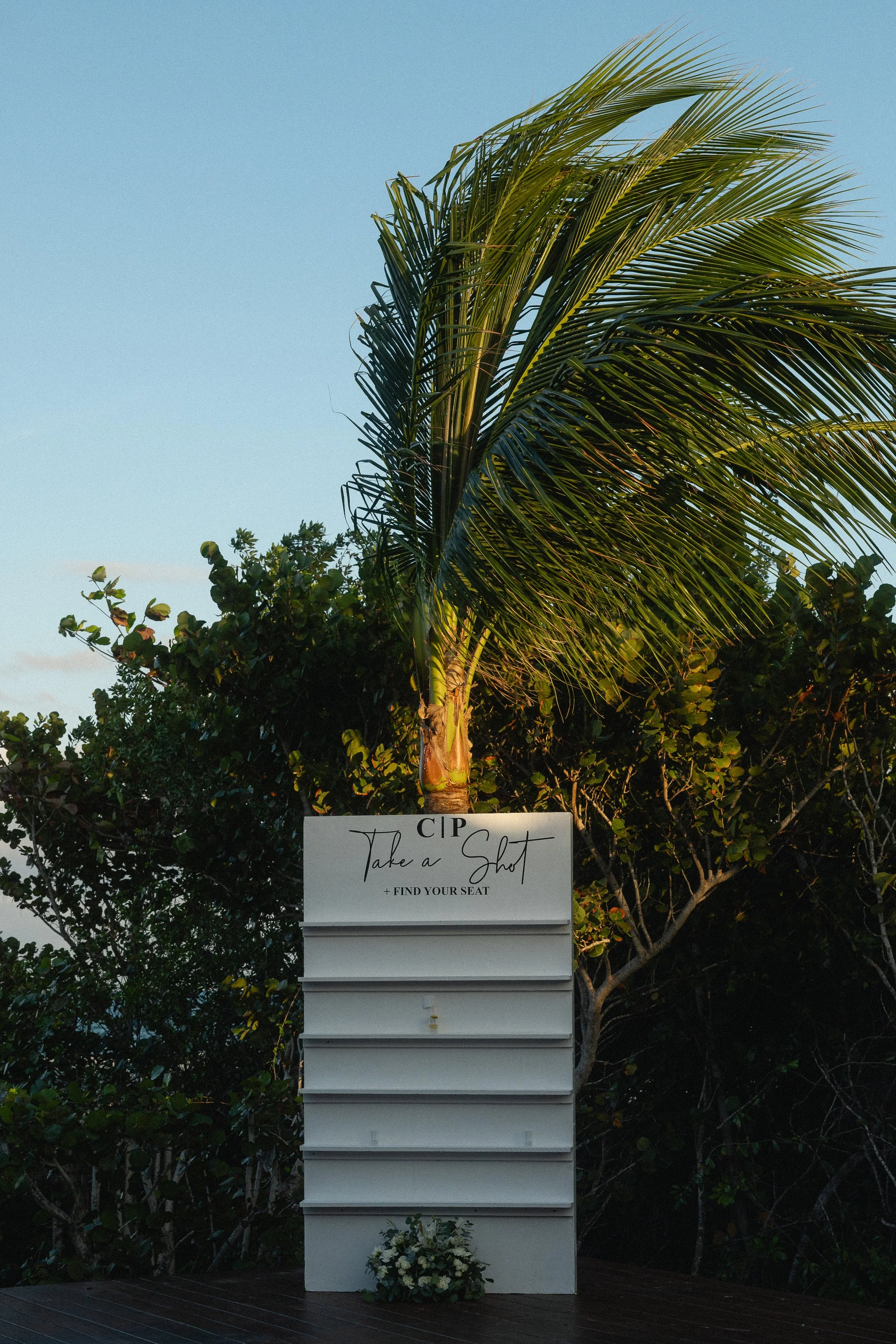 untitled (496 of 833).jpg