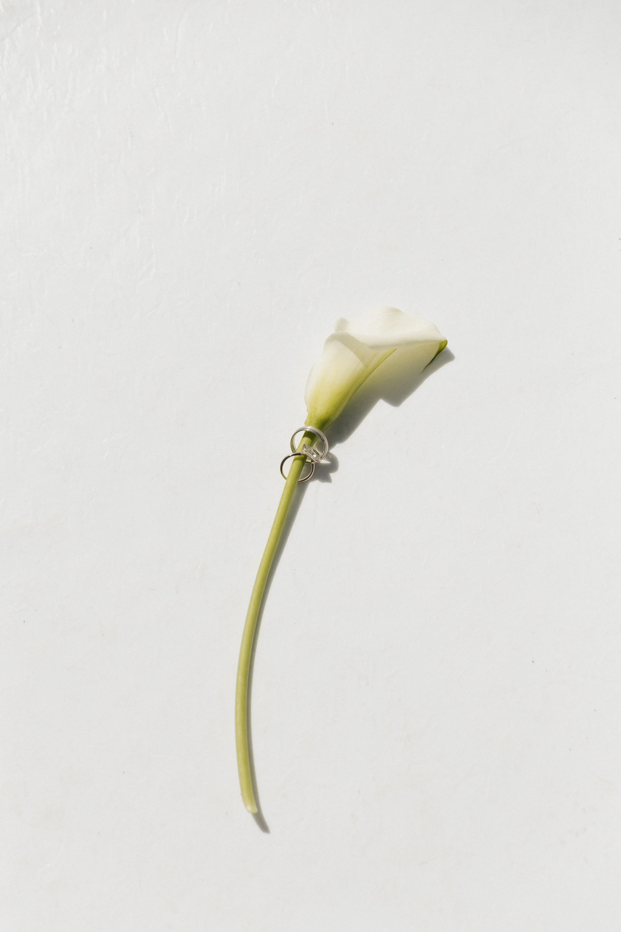 0P4A8733.jpg