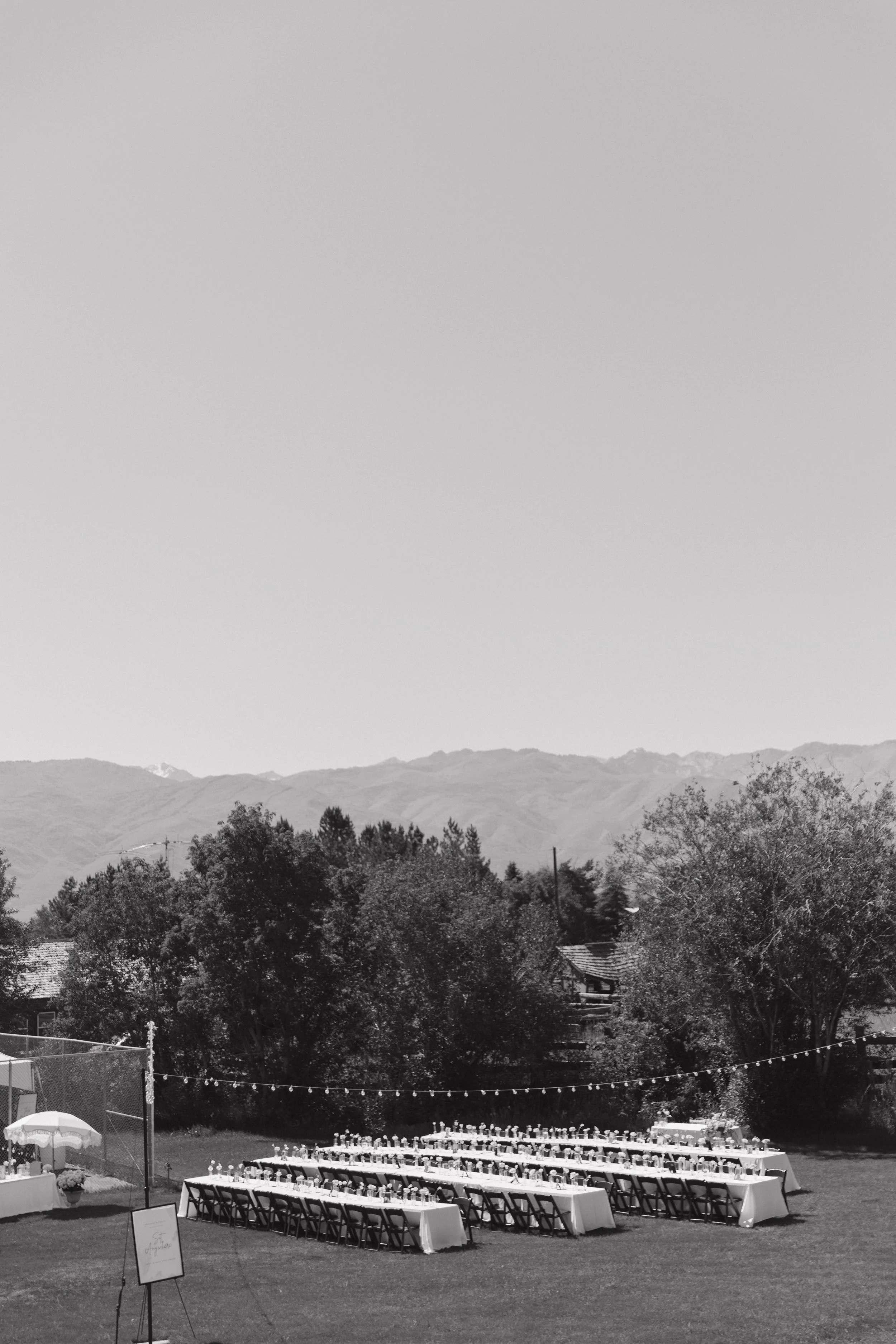 0P4A8807.jpg