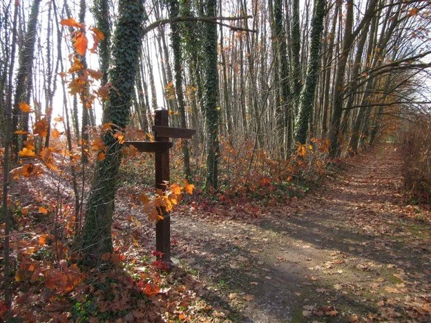 Week 6: In Pursuit of conscious living &amp; dying: The Dual Track-Living Fully and Planning for a Victory 