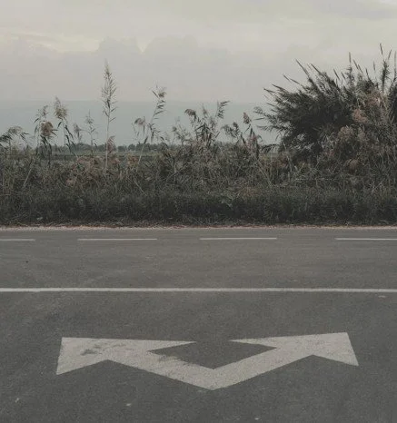 Week 8: In Pursuit of conscious living &amp; dying: “i tHINK i’M staying” and “i think i’m dying”
