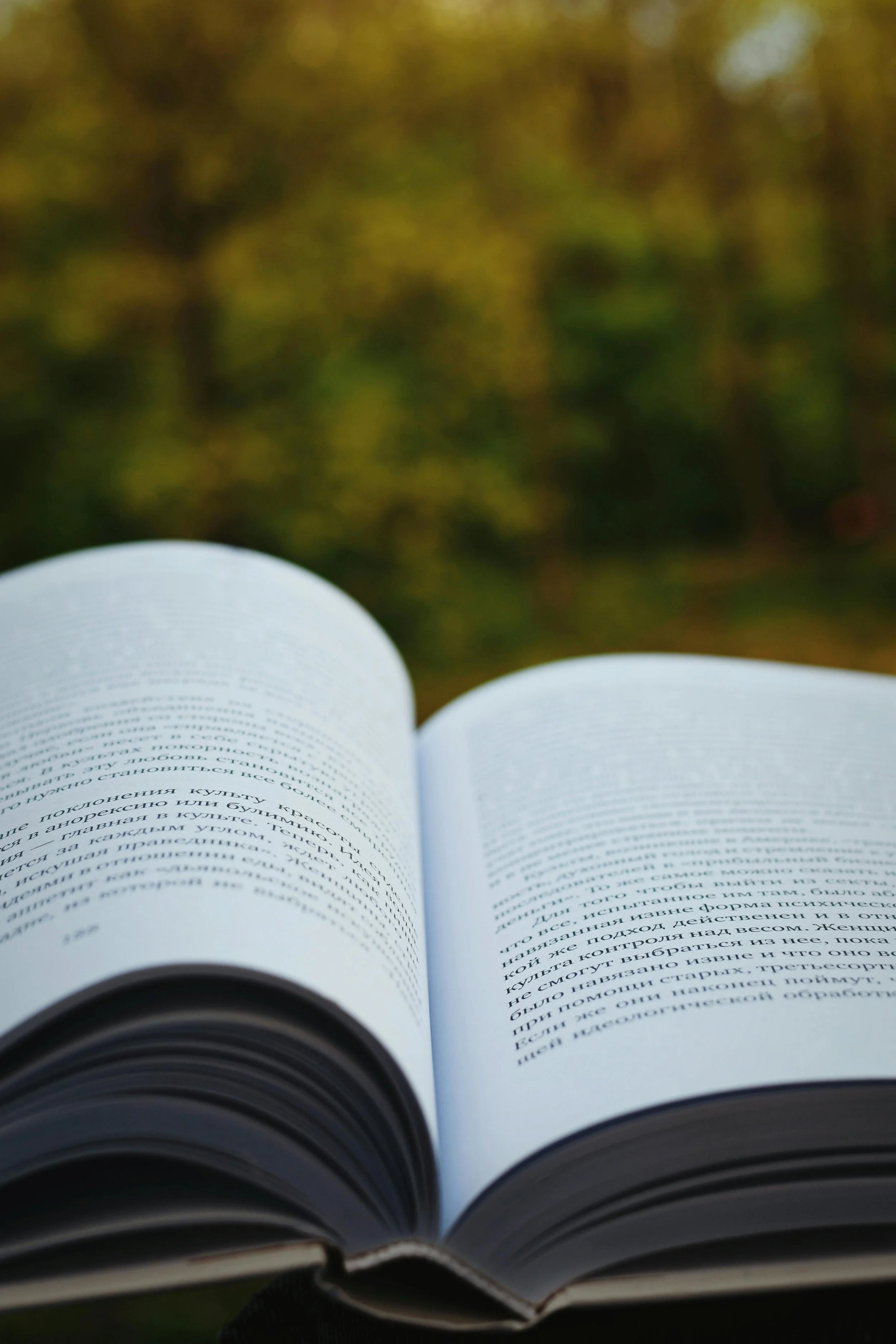 An opened book and a natural landscape in the background.