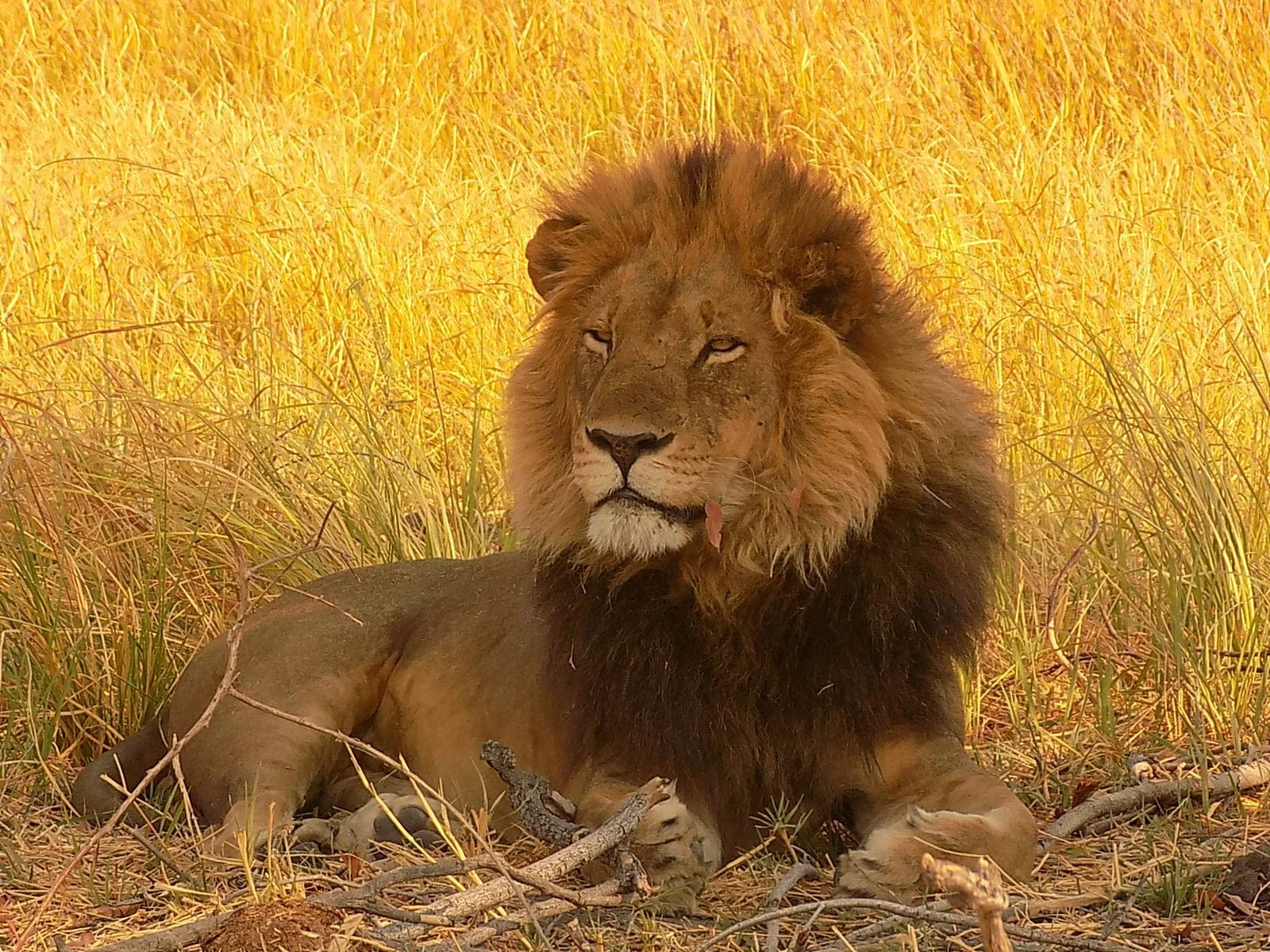 Africa Culture Journeys