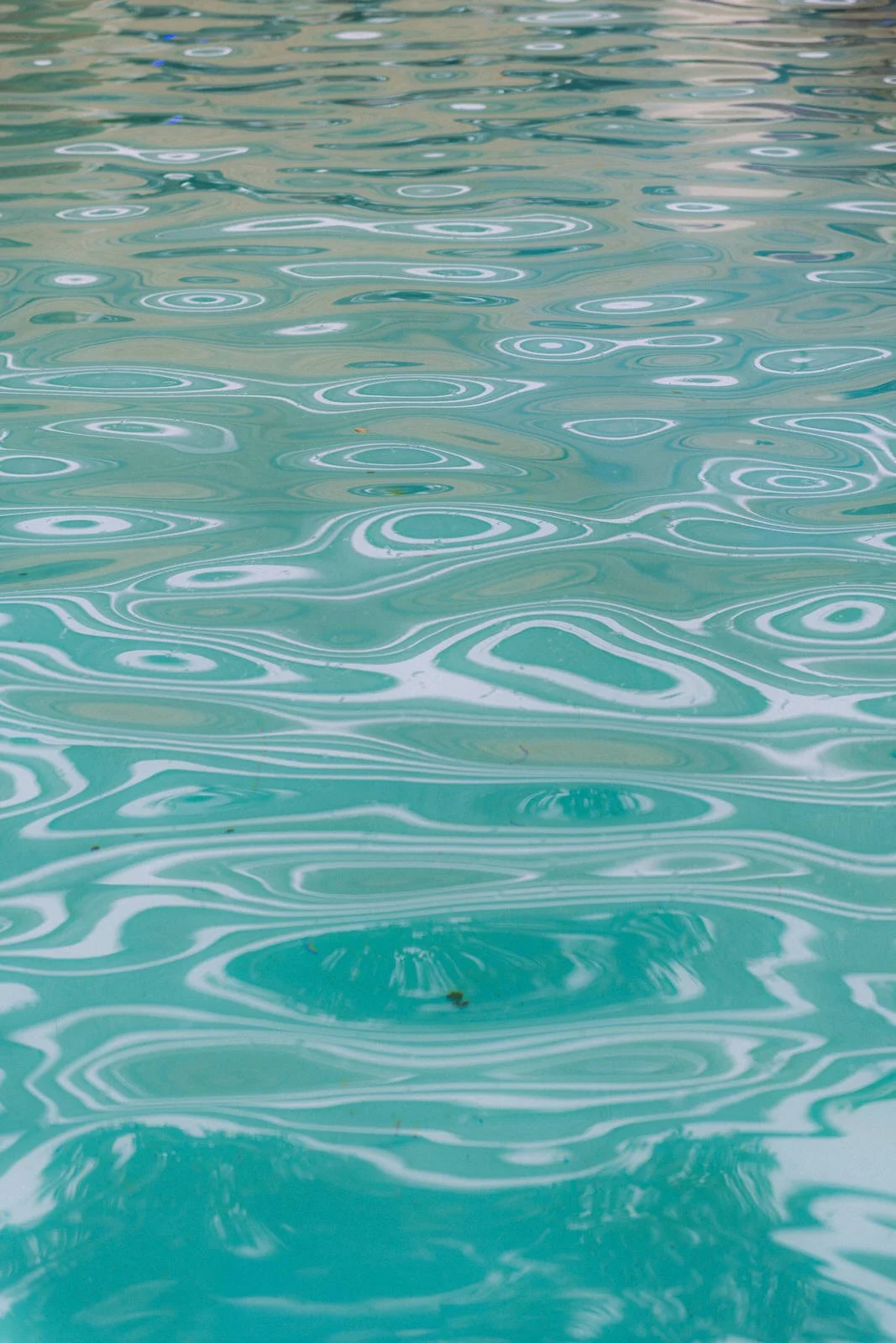 MATRI FRAN&MAX (25 de 1379).jpg