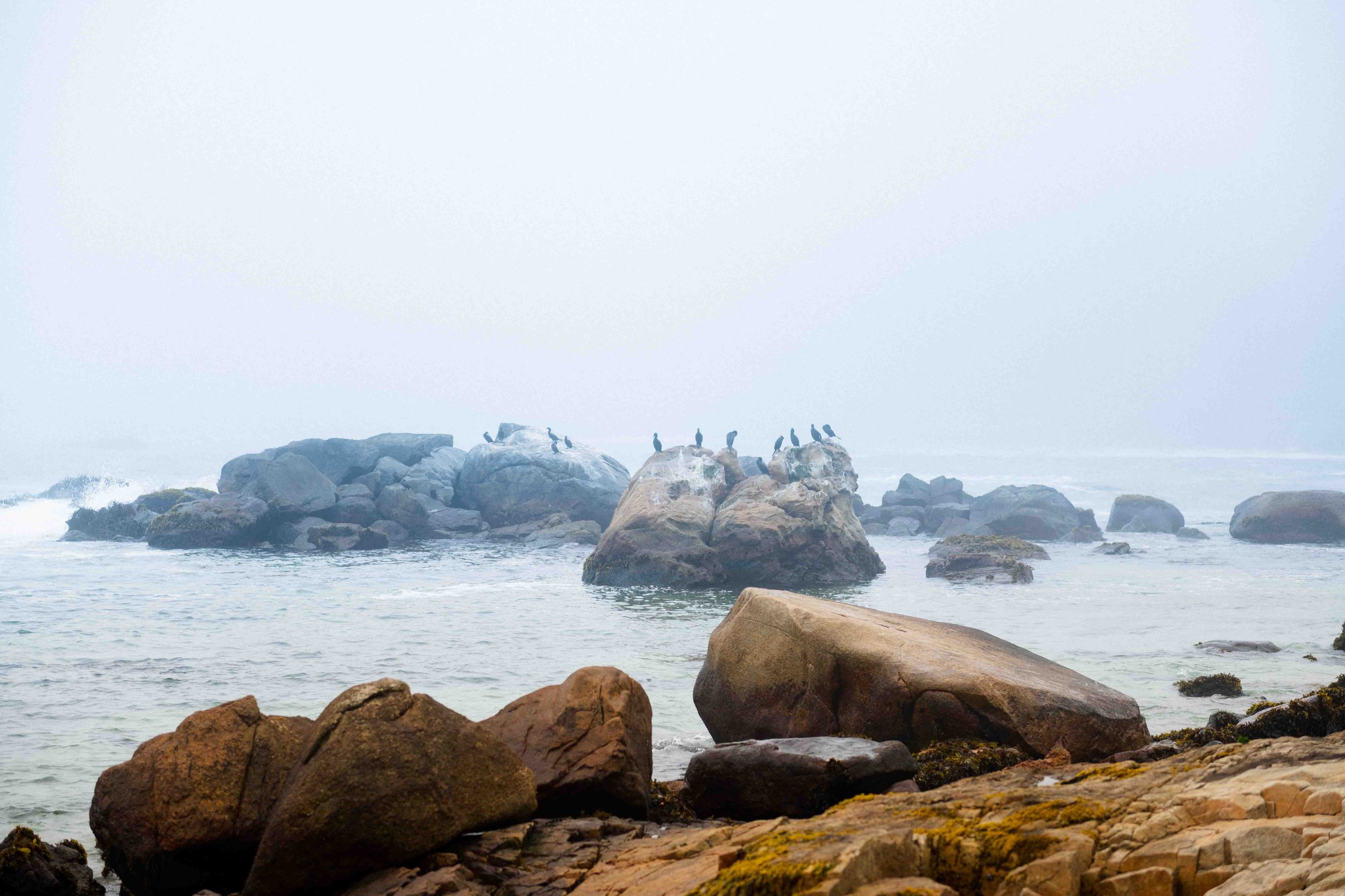 MATRIMONIO JUANI&CRIS (138 de 858).jpg