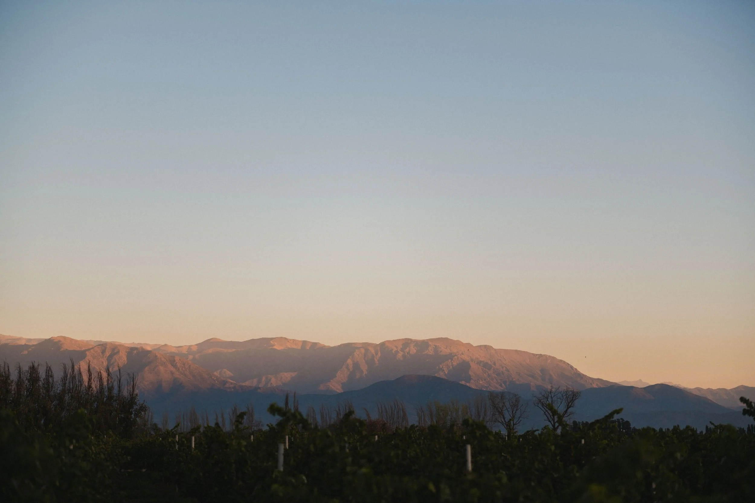 MATRI_ANTO&BENJA_CAMI (476 de 1220).jpg