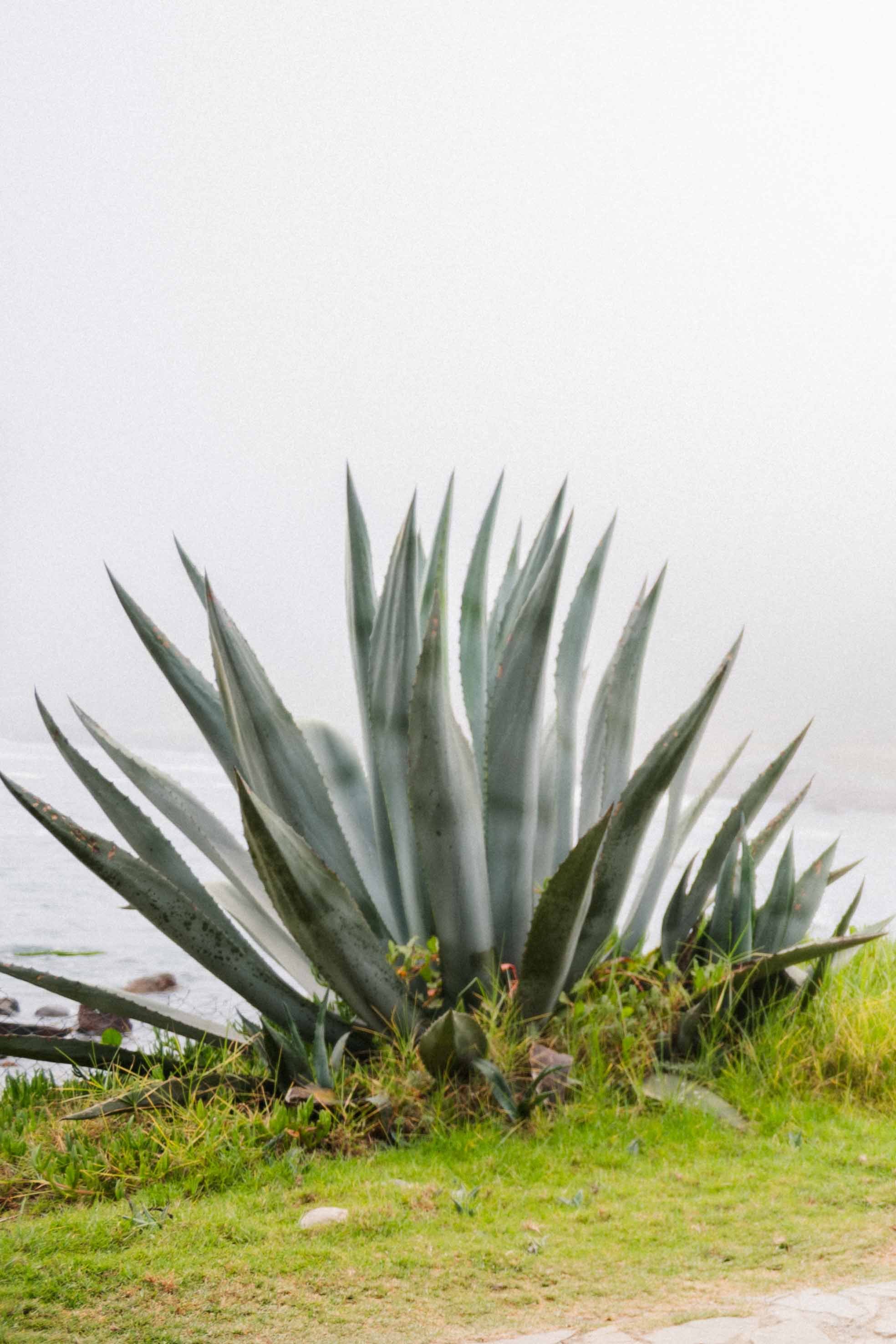 MATRIMONIO JUANI&CRIS (225 de 858).jpg