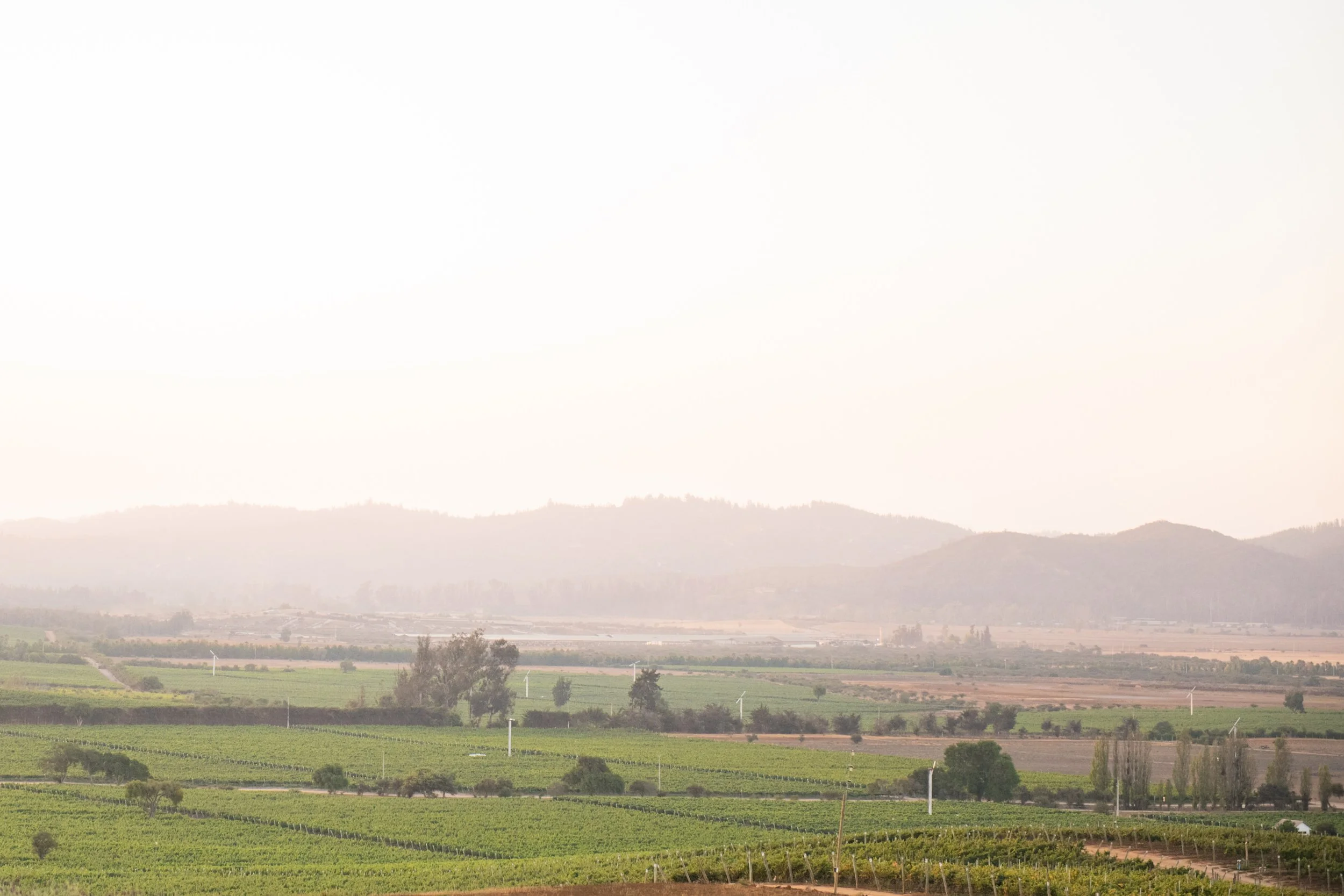 MATRI_SARA&PANCHO_CAMI (471 de 1037).jpg