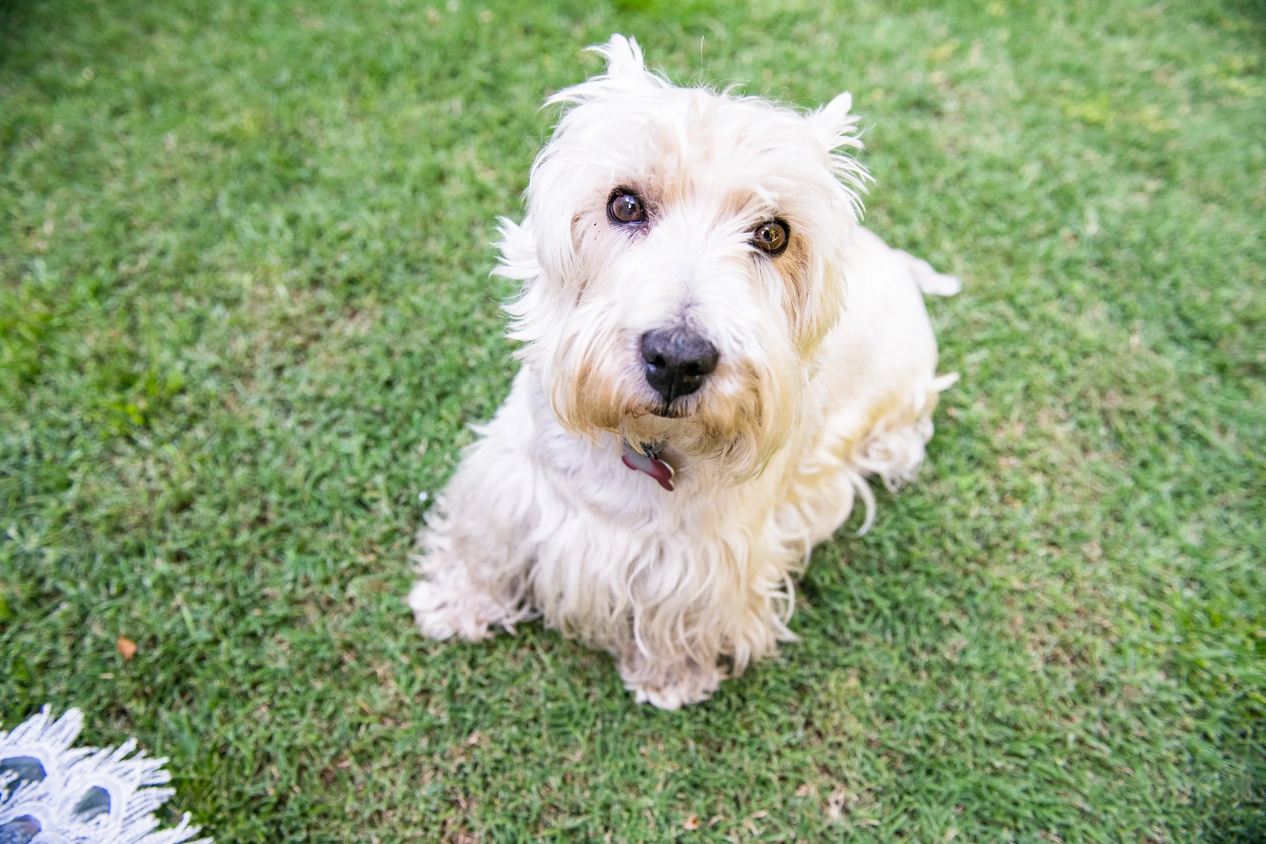 MATRI_MAIDA&CRIS_CAMI (119 de 1108).jpg