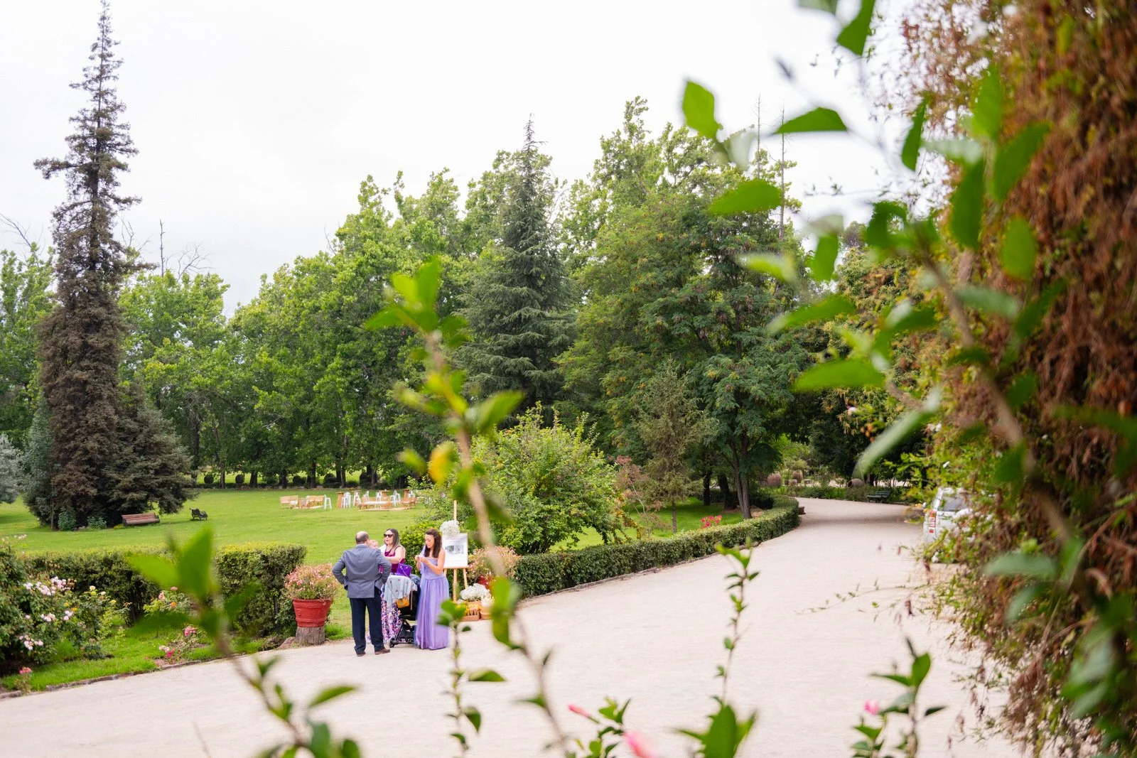 MATRI FRAN&MAX (177 de 1379).jpg