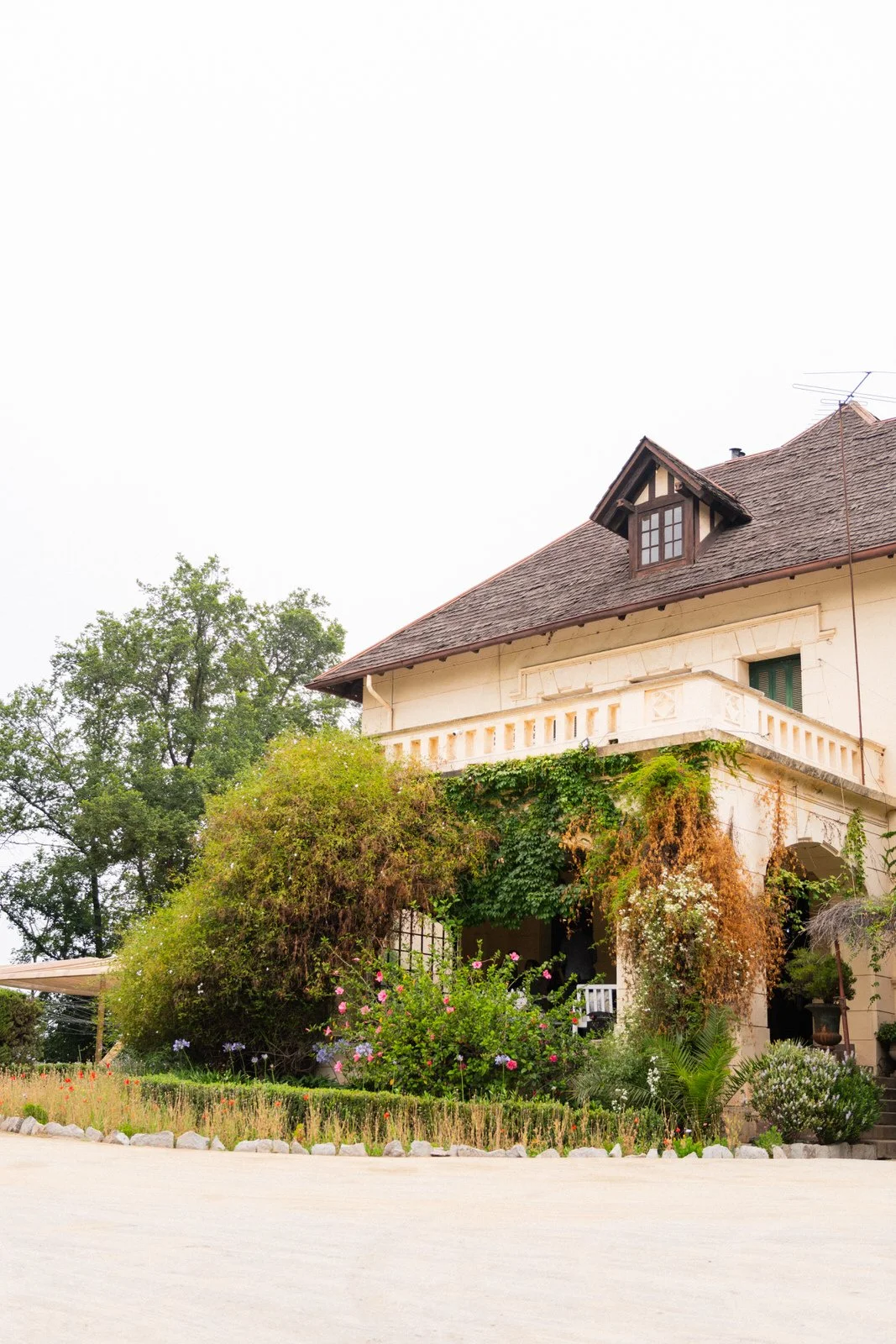 MATRI FRAN&MAX (2 de 1379).jpg