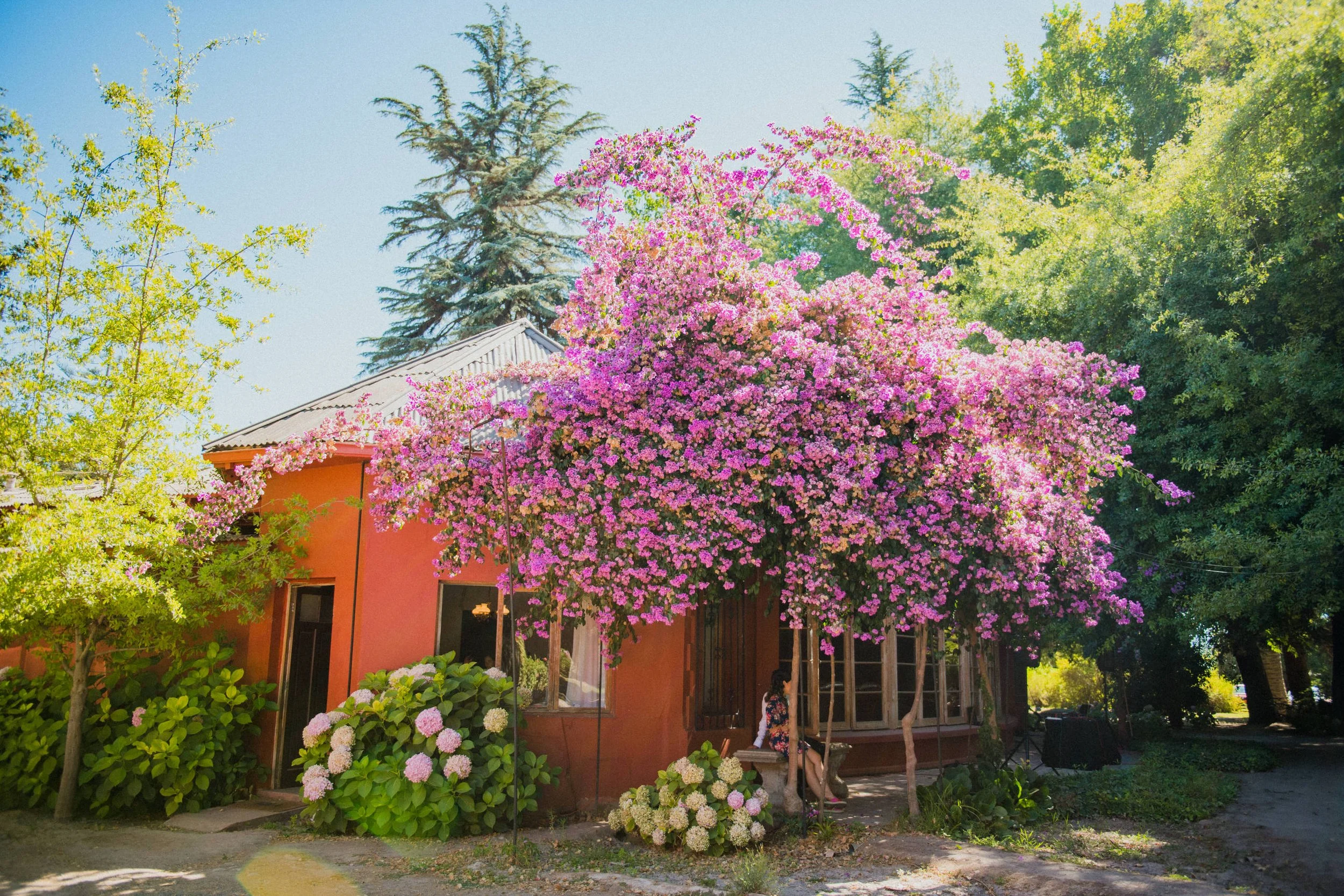 MATRI_ANTO&BENJA_CAMI (41 de 1220).jpg