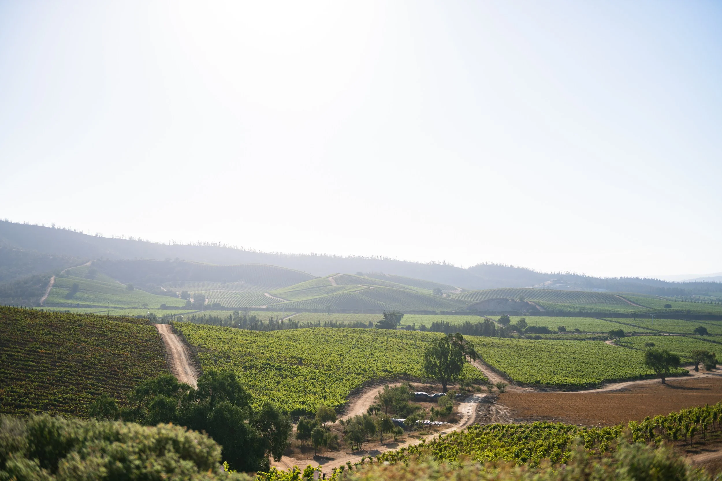 MATRI_SARA&PANCHO_CAMI (103 de 1037).jpg