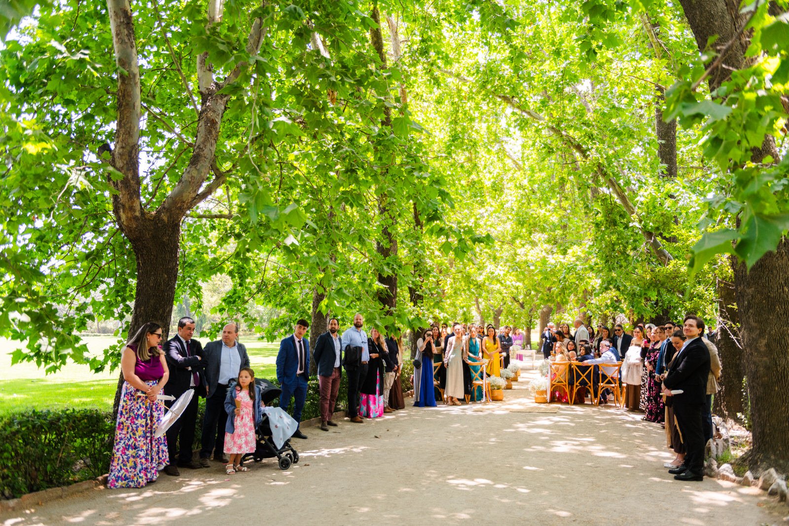 MATRI FRAN&MAX (239 de 1379).jpg